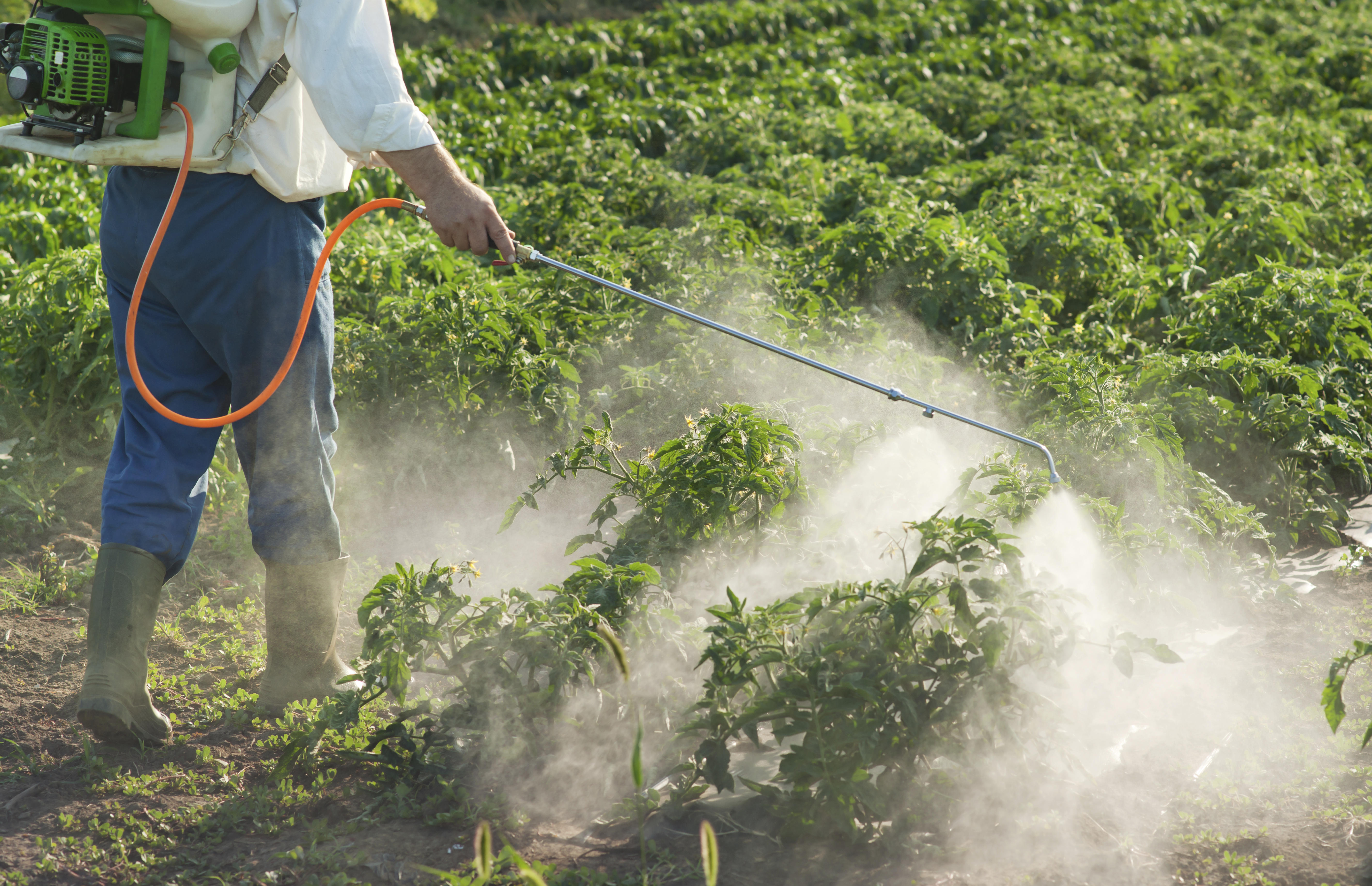 pesticides UPA