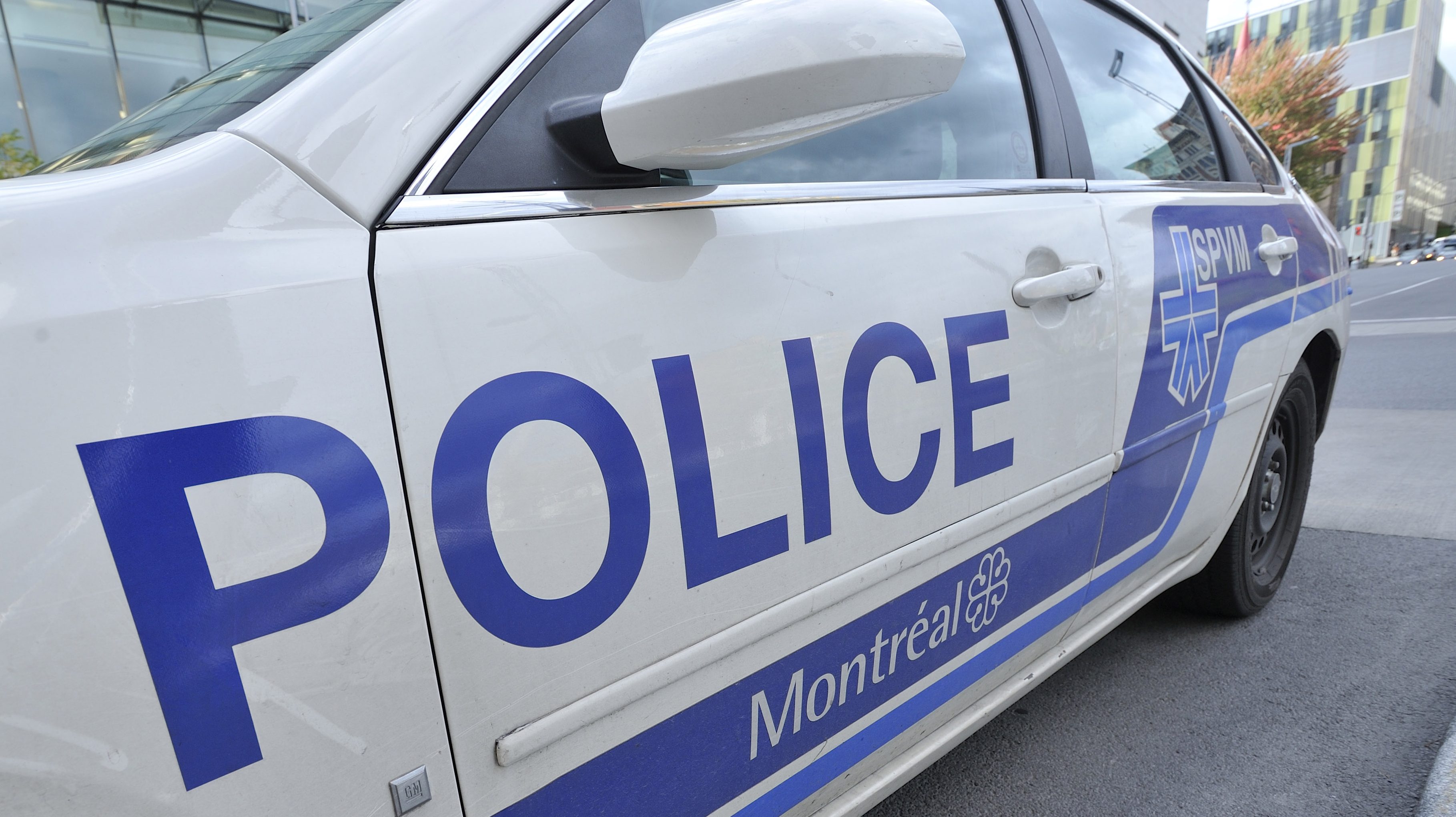 SPVM