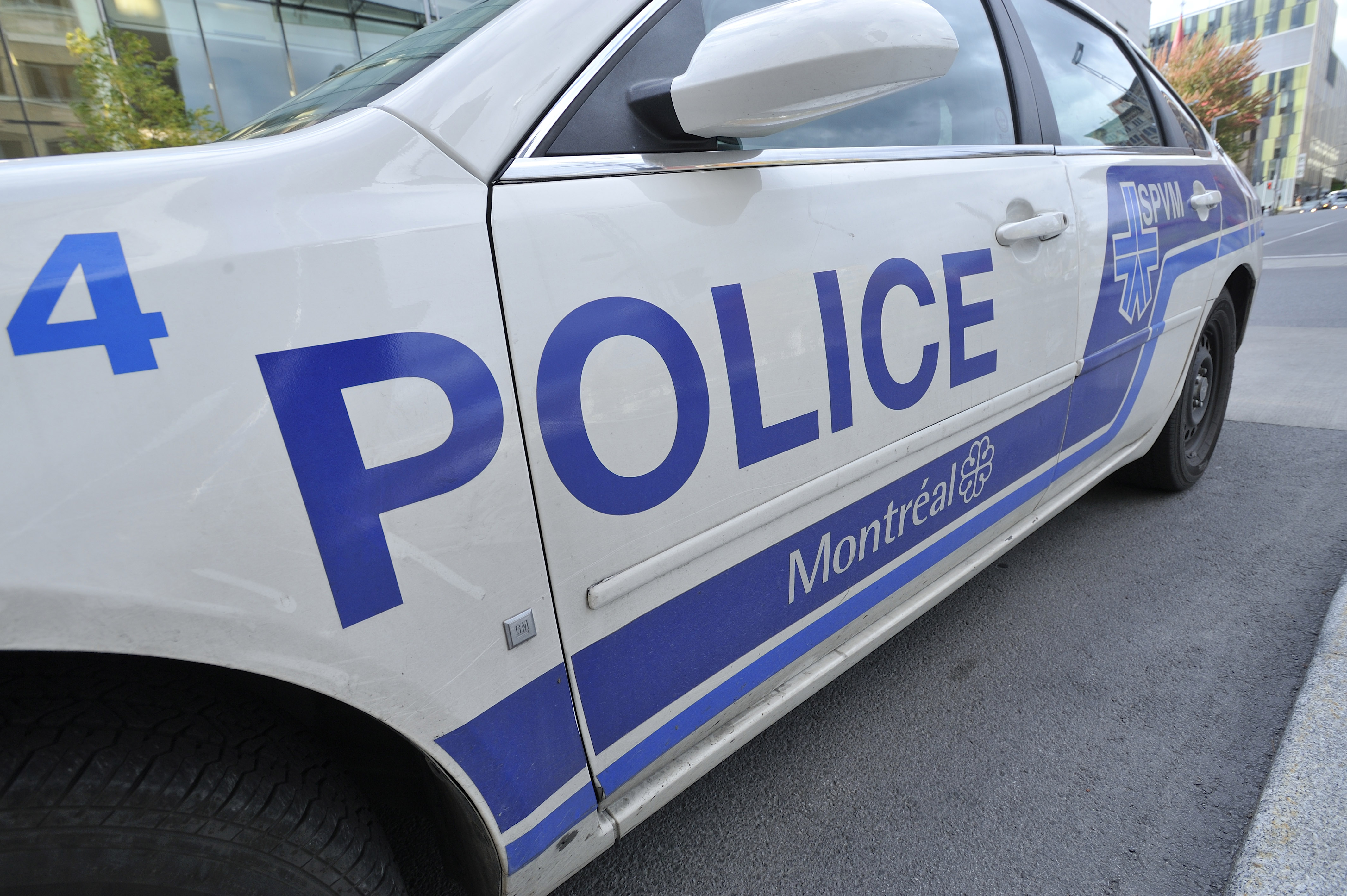 SPVM