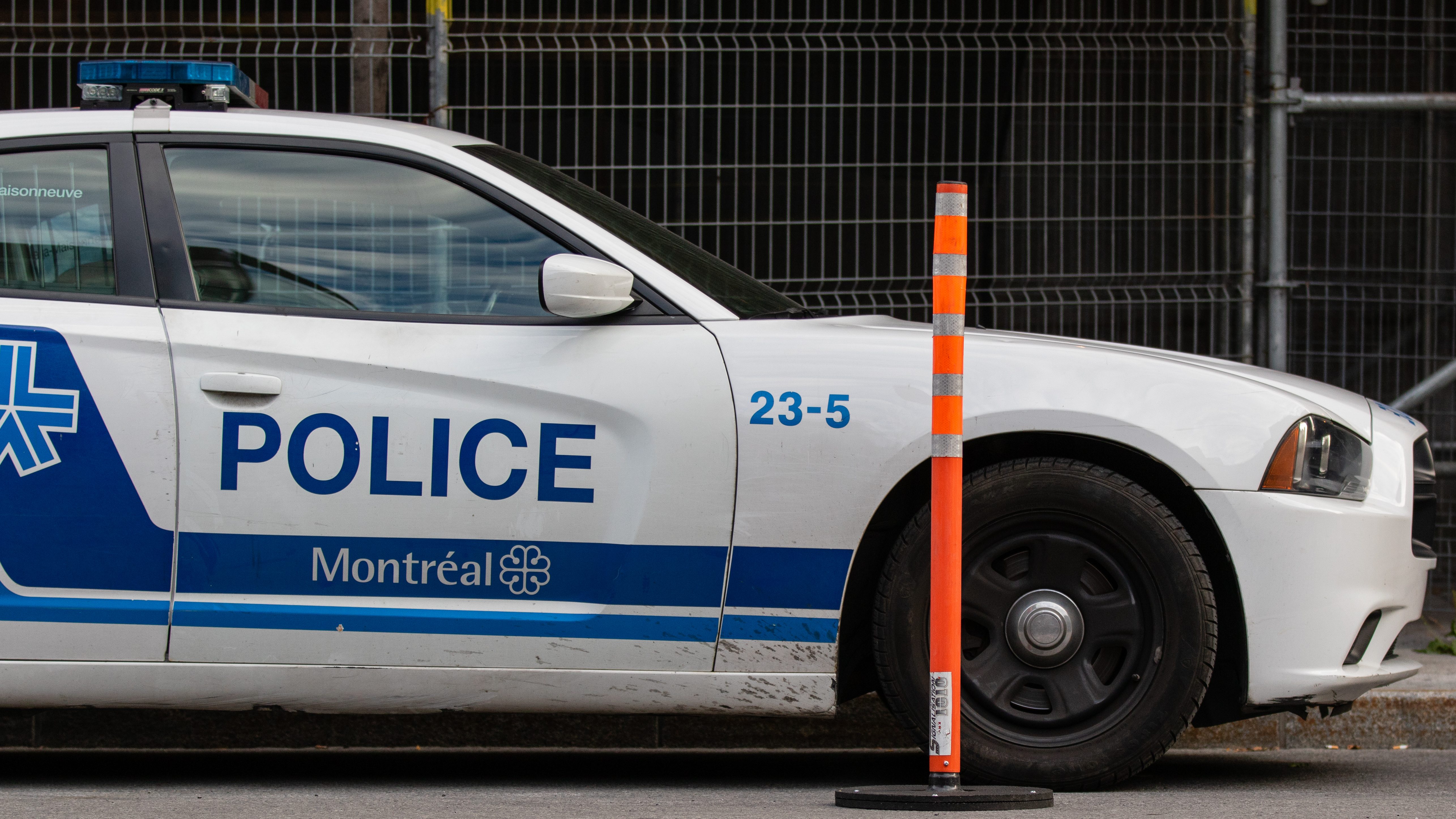 SPVM