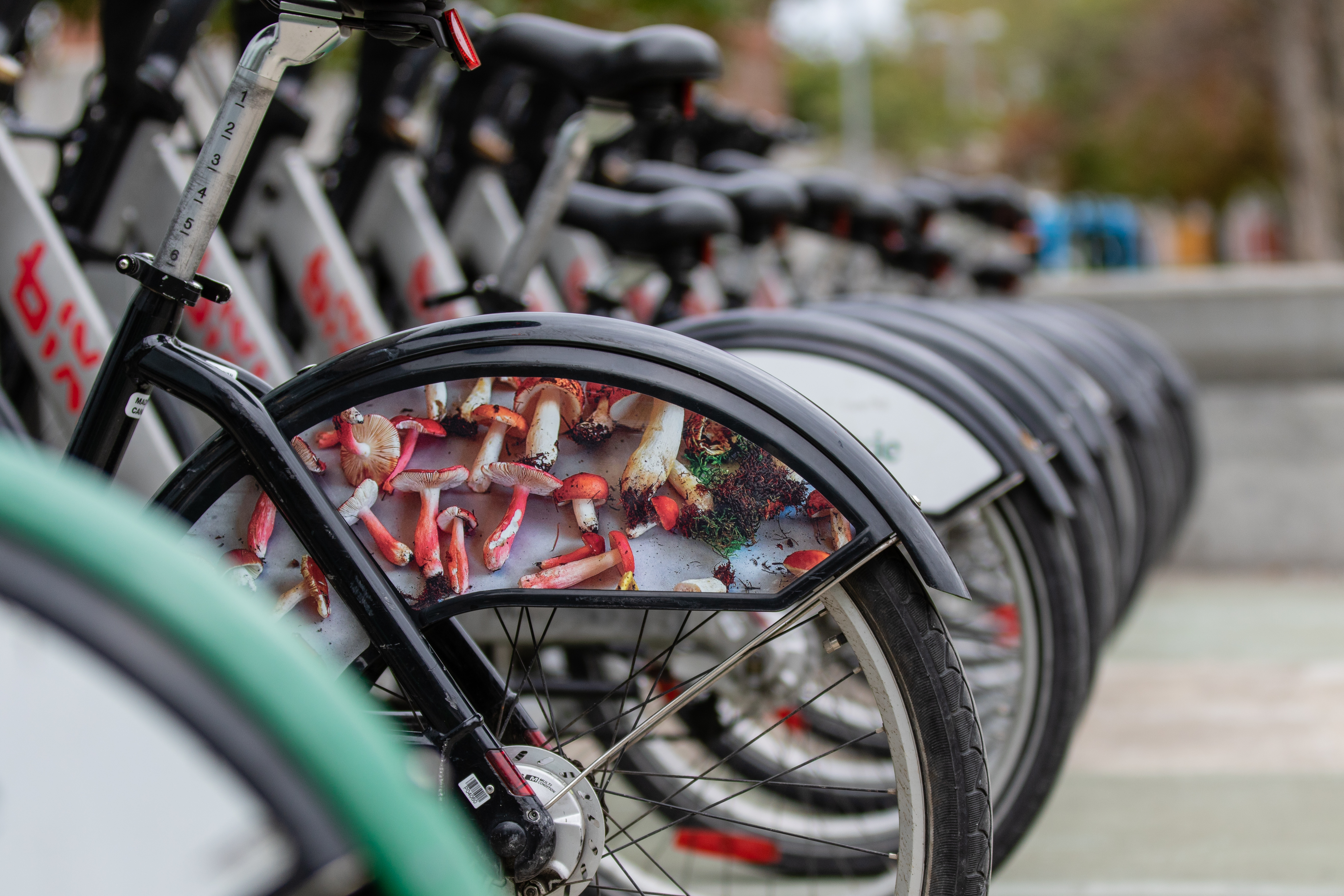 16 M$ aux créanciers de BIXI: la demande d'autorisation de Montréal rejetée