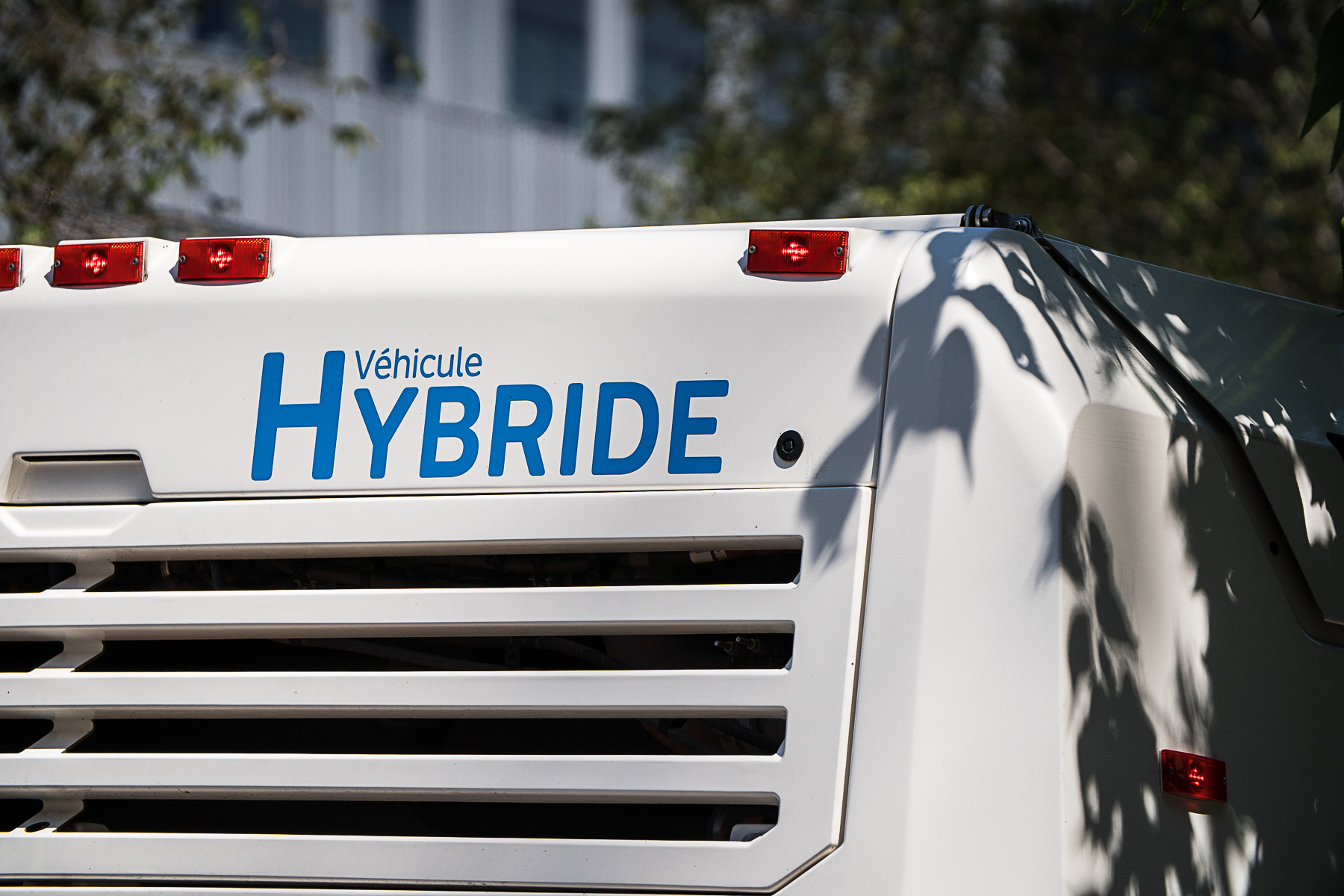 bus hybrides