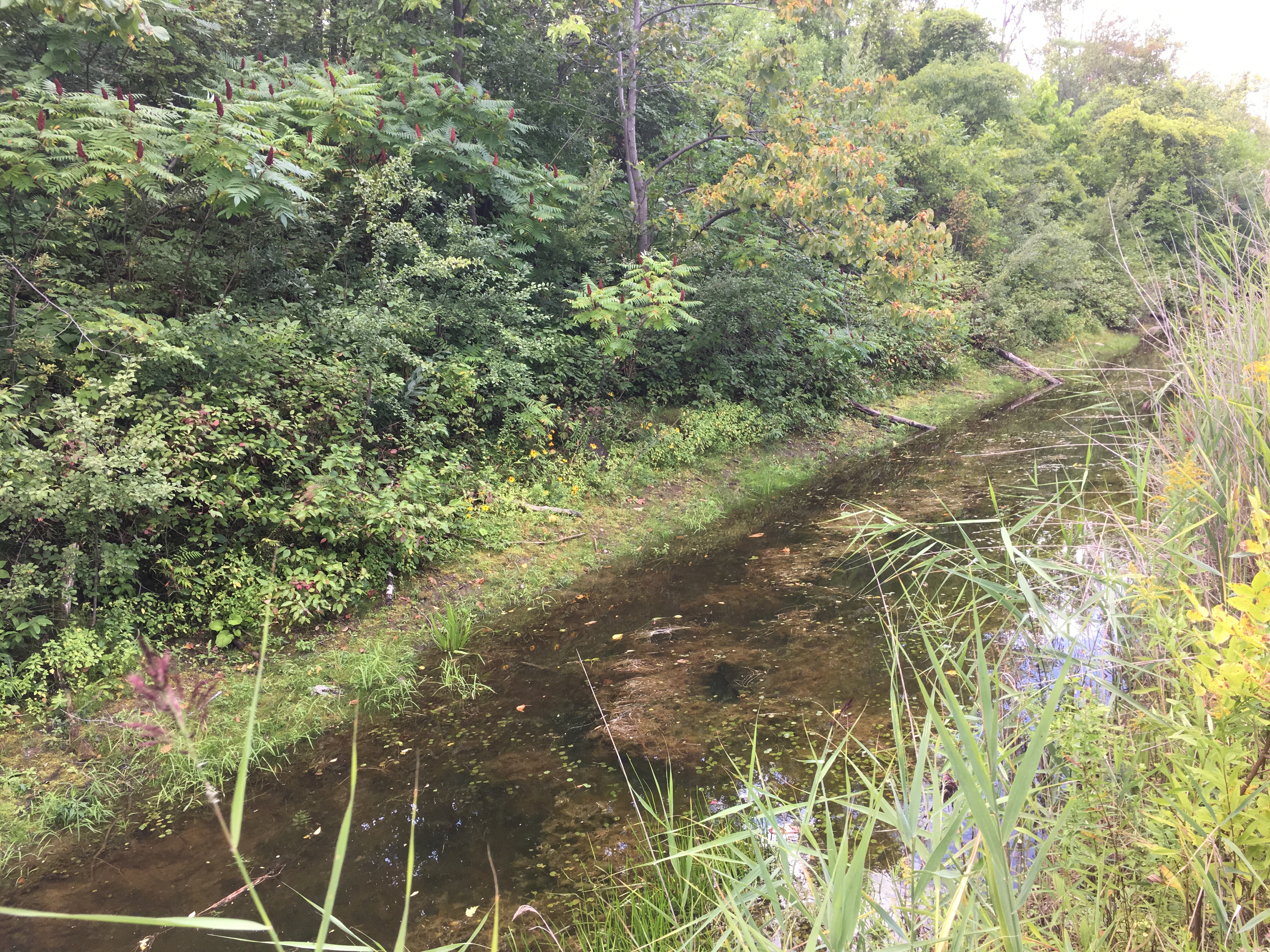 Près du parc écologique