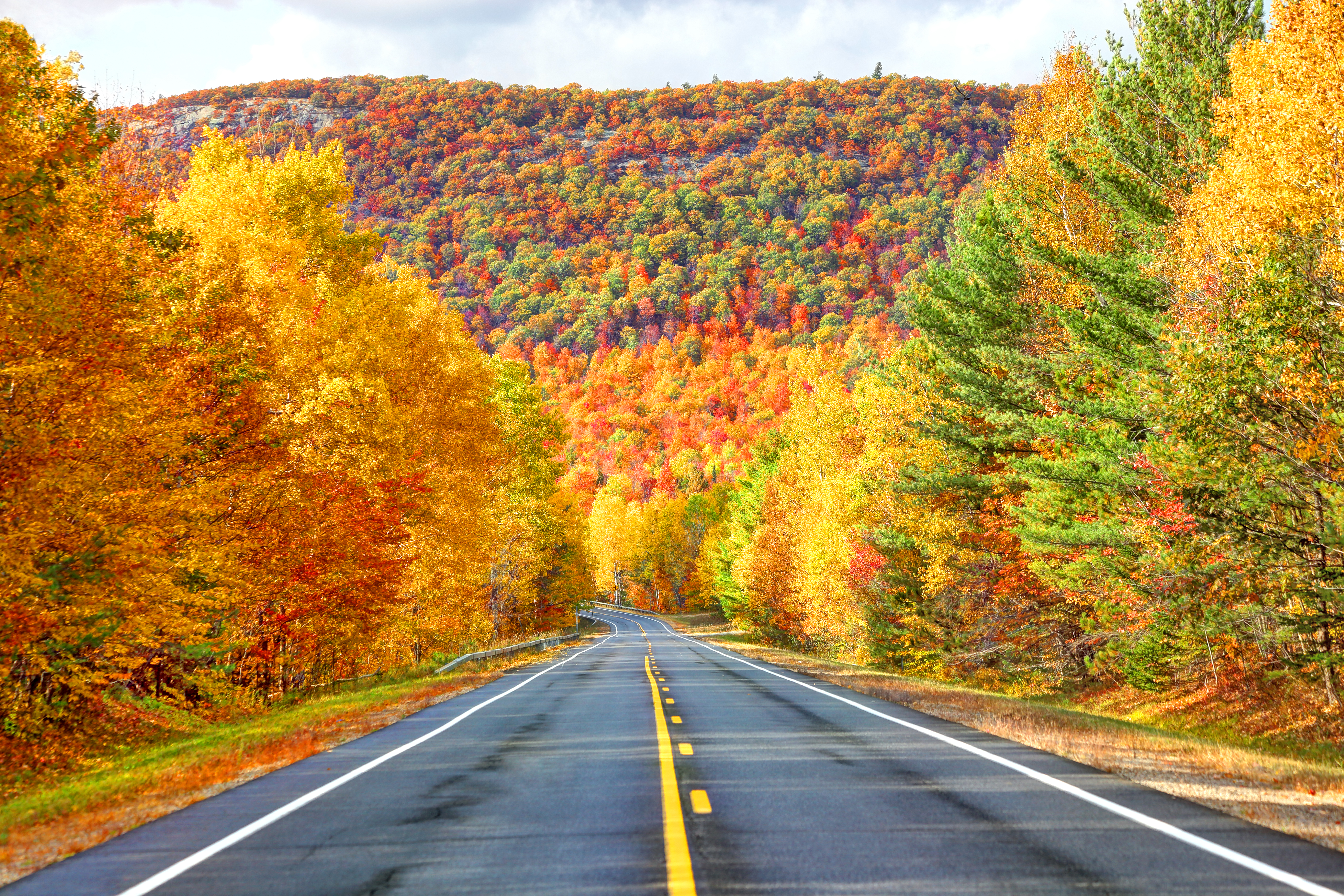 Couleurs d'automne