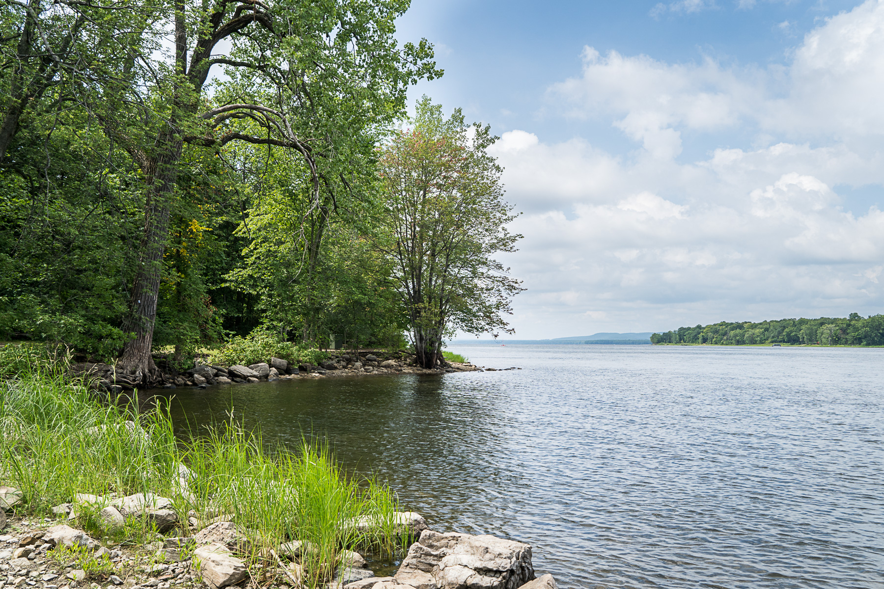 Une berge du Parc-nature du Cap-Saint-Jacques, qui fera partie du Grand Parc de l'Ouest.