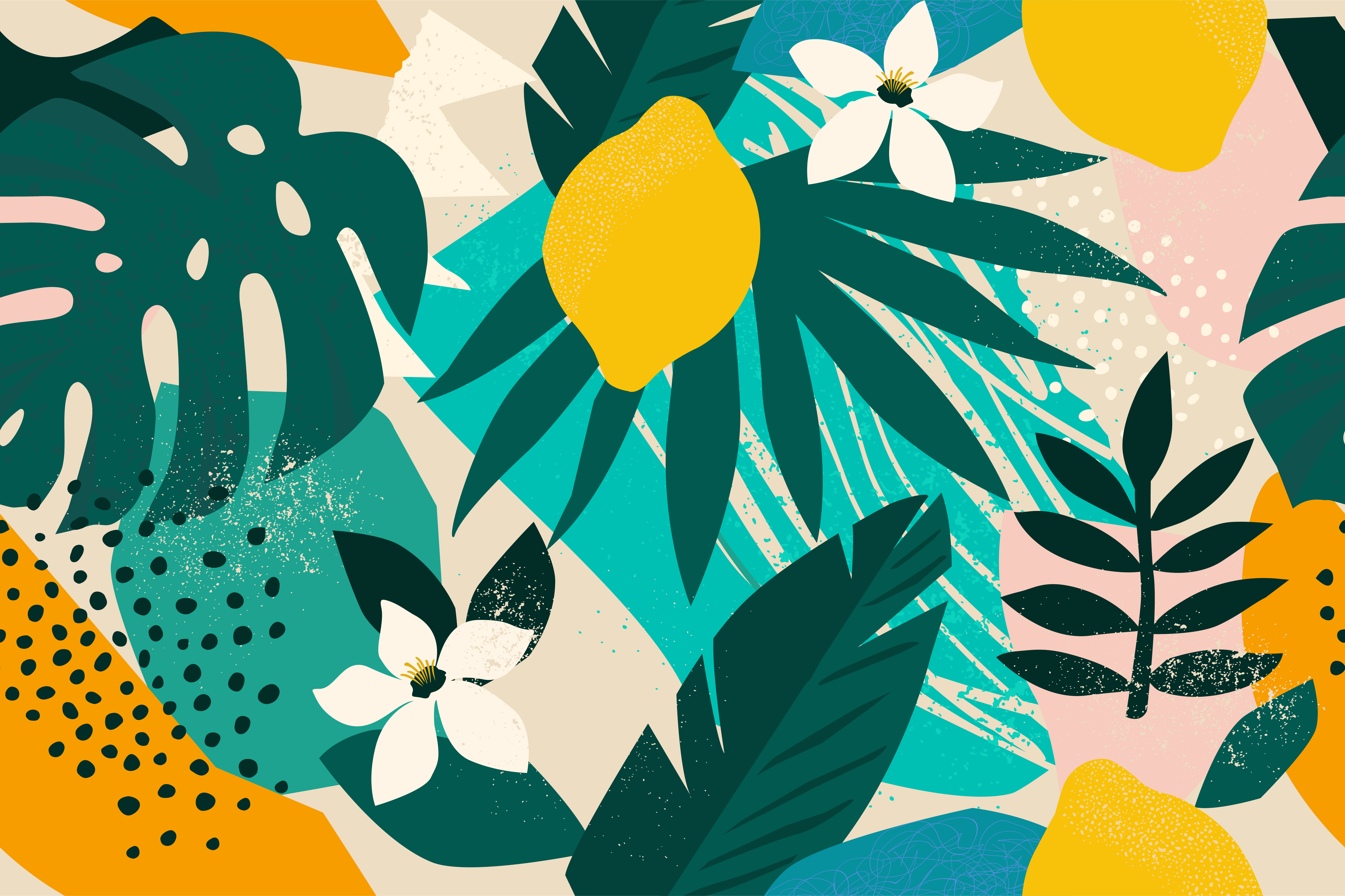 illustrations