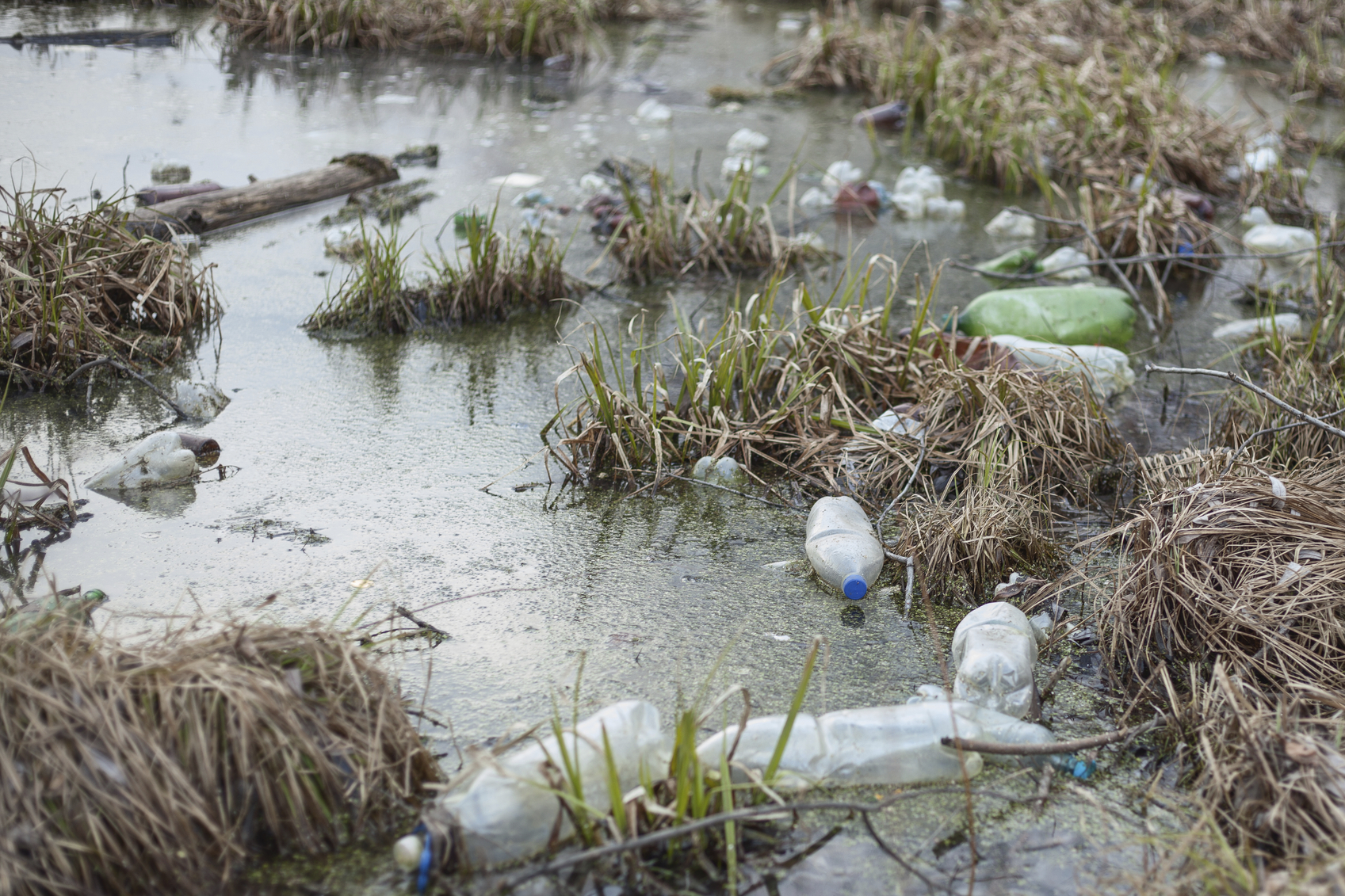 microplastiques