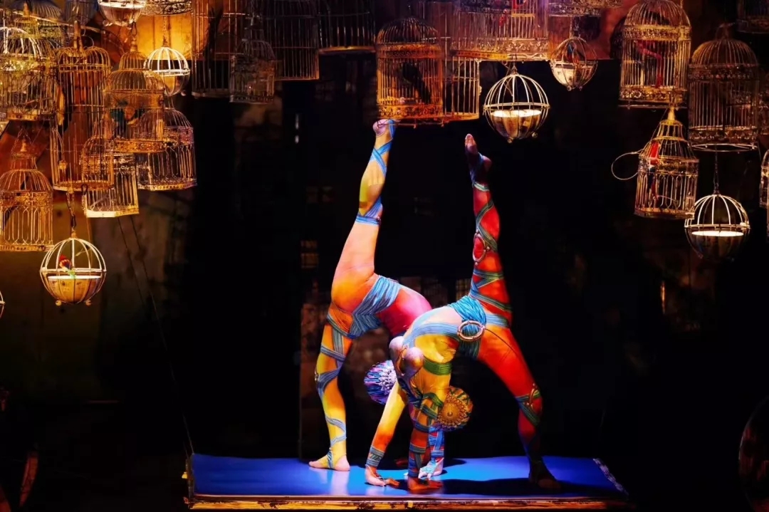 Des acrobates du Cirque du soleil
