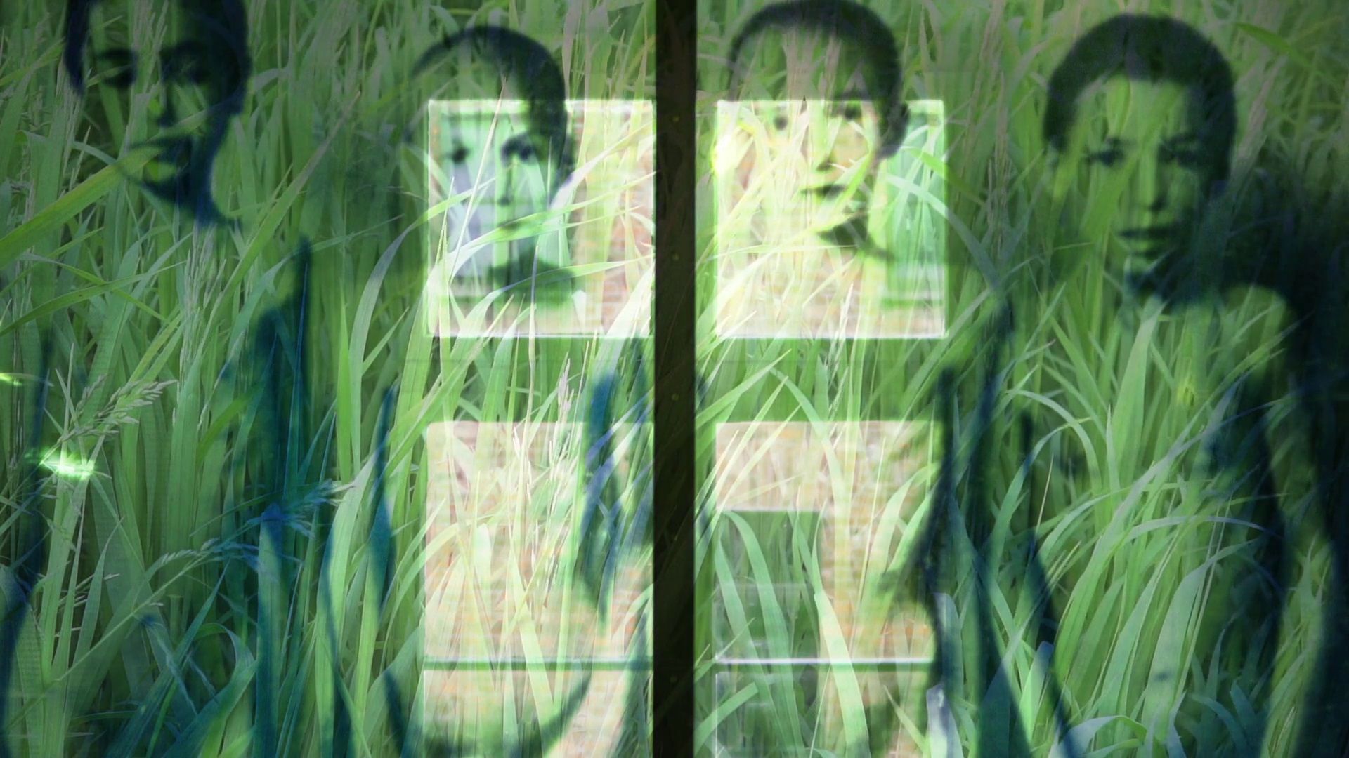 Plus haut que les flammes