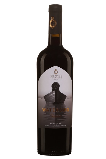 vins saq