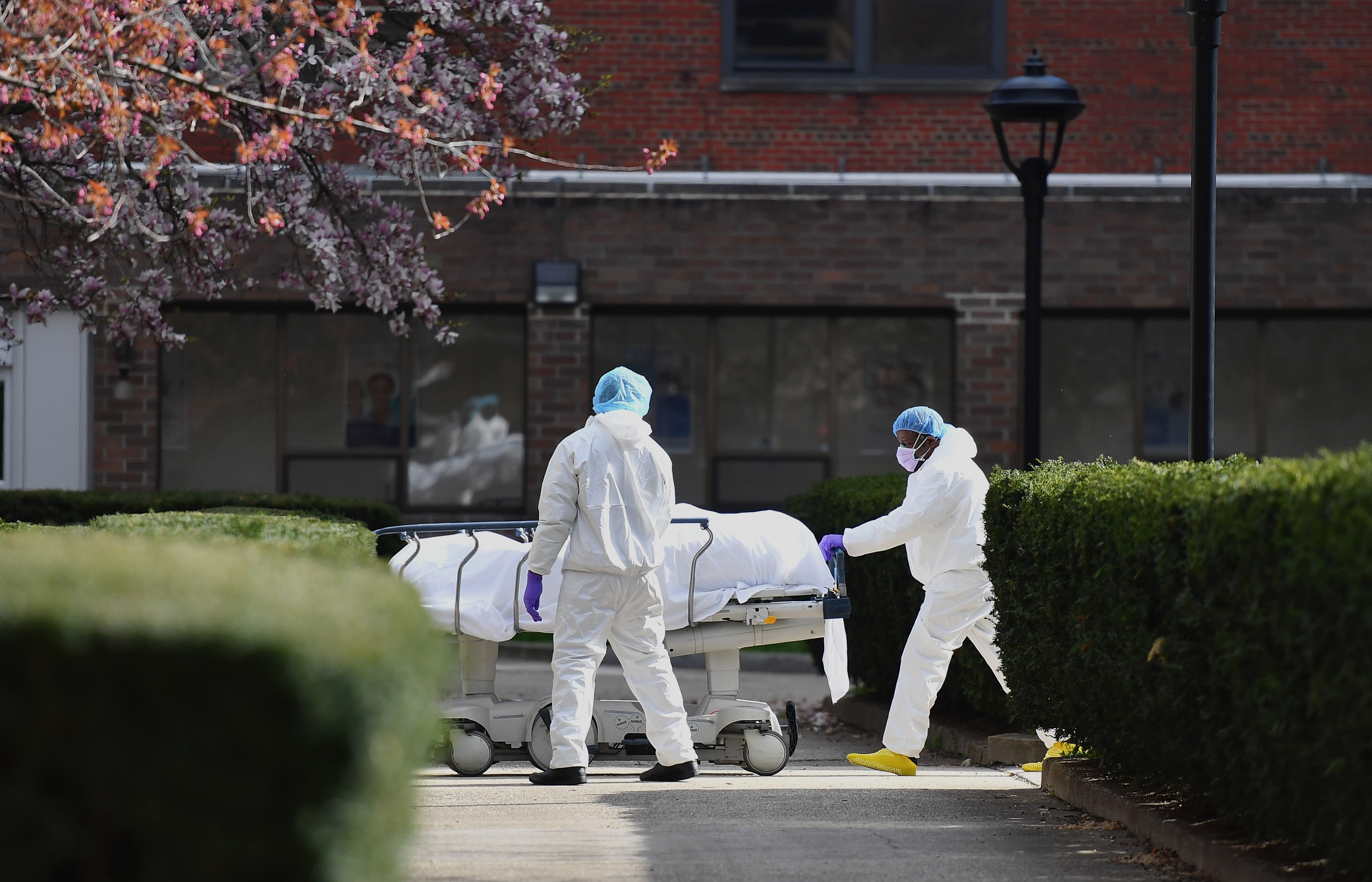 comptage morts coronavirus