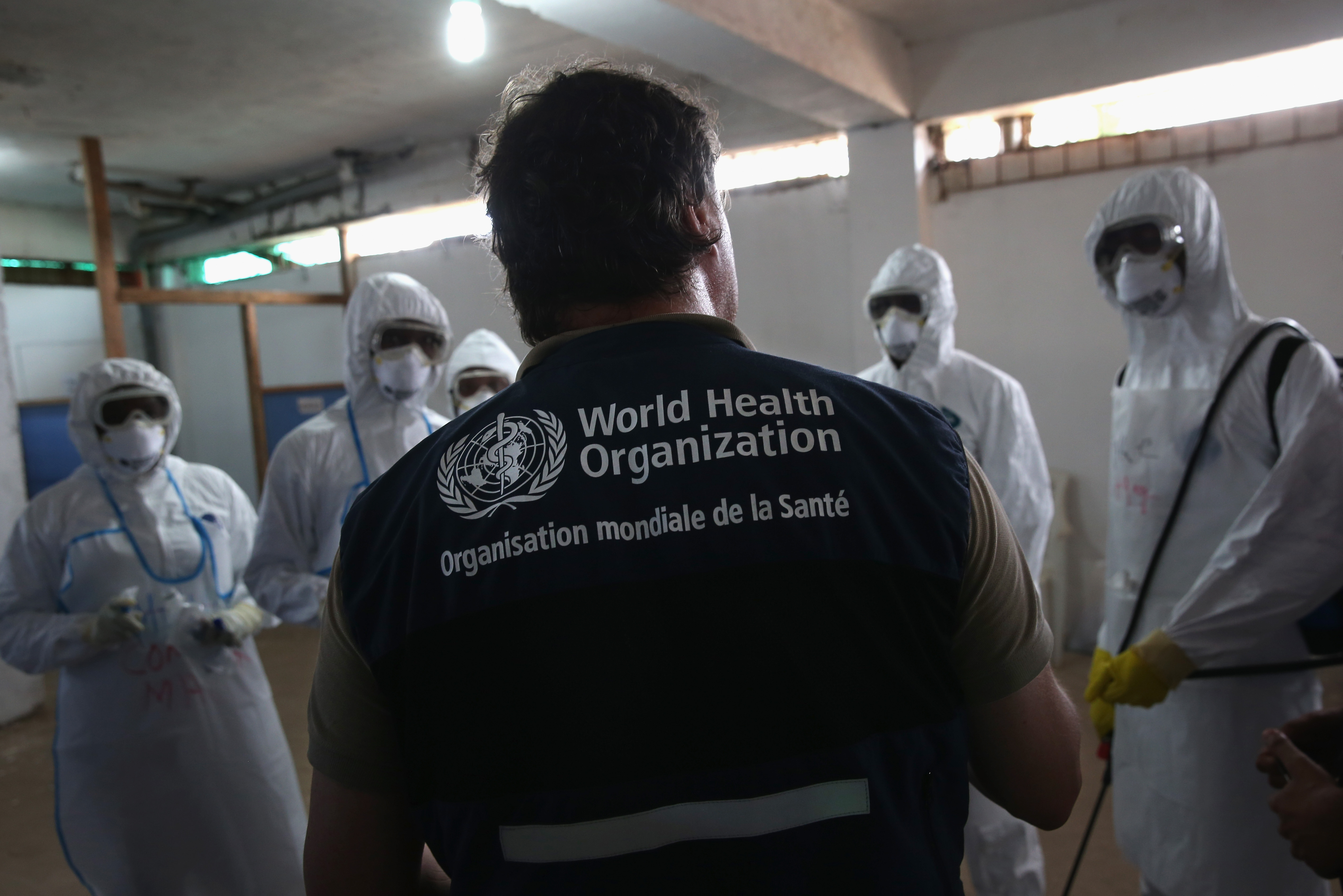 L'Australie demande que l'Organisation mondiale de la santé (OMS) soit dotée d'inspecteurs pouvant enquêter sur l'éclosion de virus.