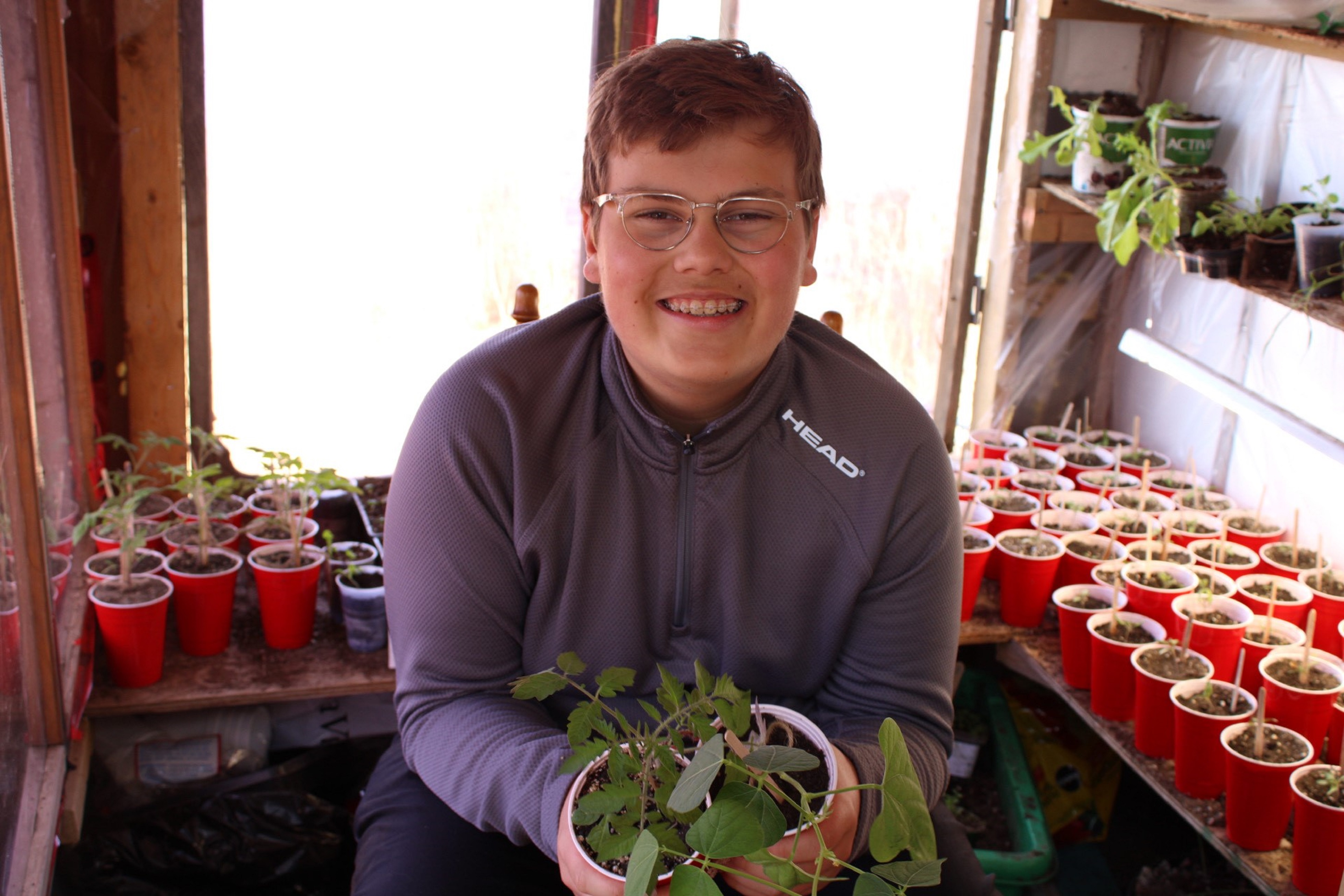 Alexandre-Fabien Gagné a à peine 13 ans et il est déjà devenu un as des semis. Dans sa maison et sa serre, il crée des plants de légumes et autres fines herbes qu’il livre dans son quartier de Pointe-aux-Trembles contre quelques dollars.