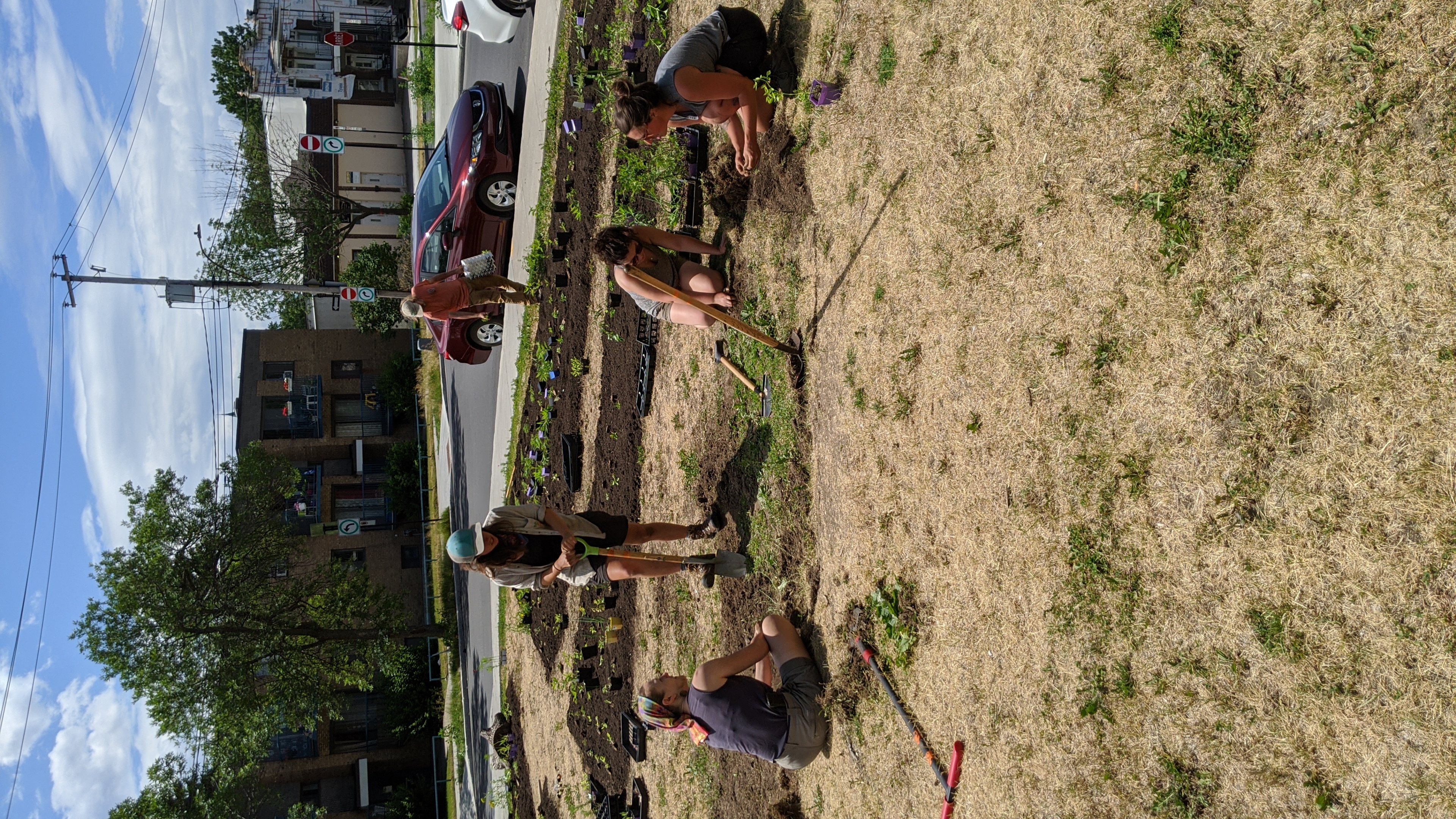 oasis pollinisateurs Père-Marquette