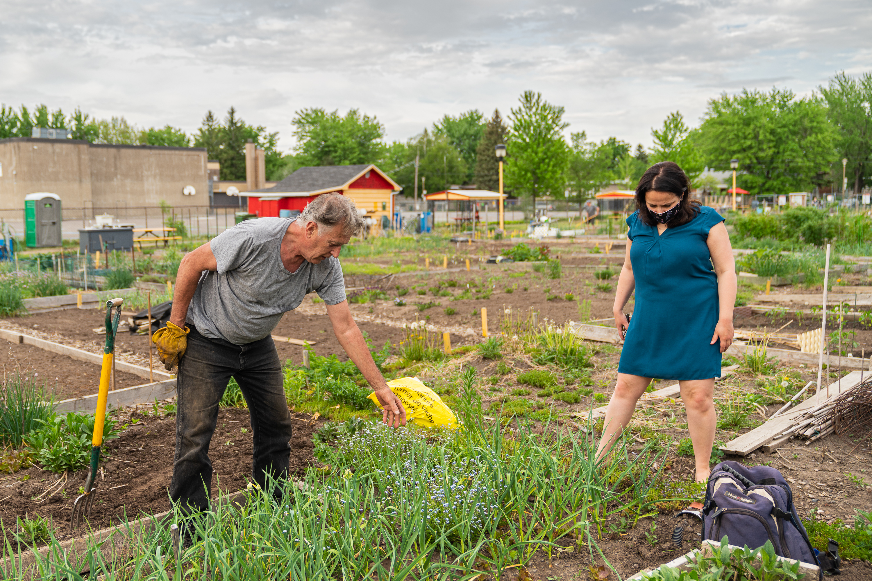 L'arrondissement Rivière-des-Prairies – Pointe-aux-Trembles lance son plan d’action en faveur de l’agriculture urbaine pour les trois prochaines années.