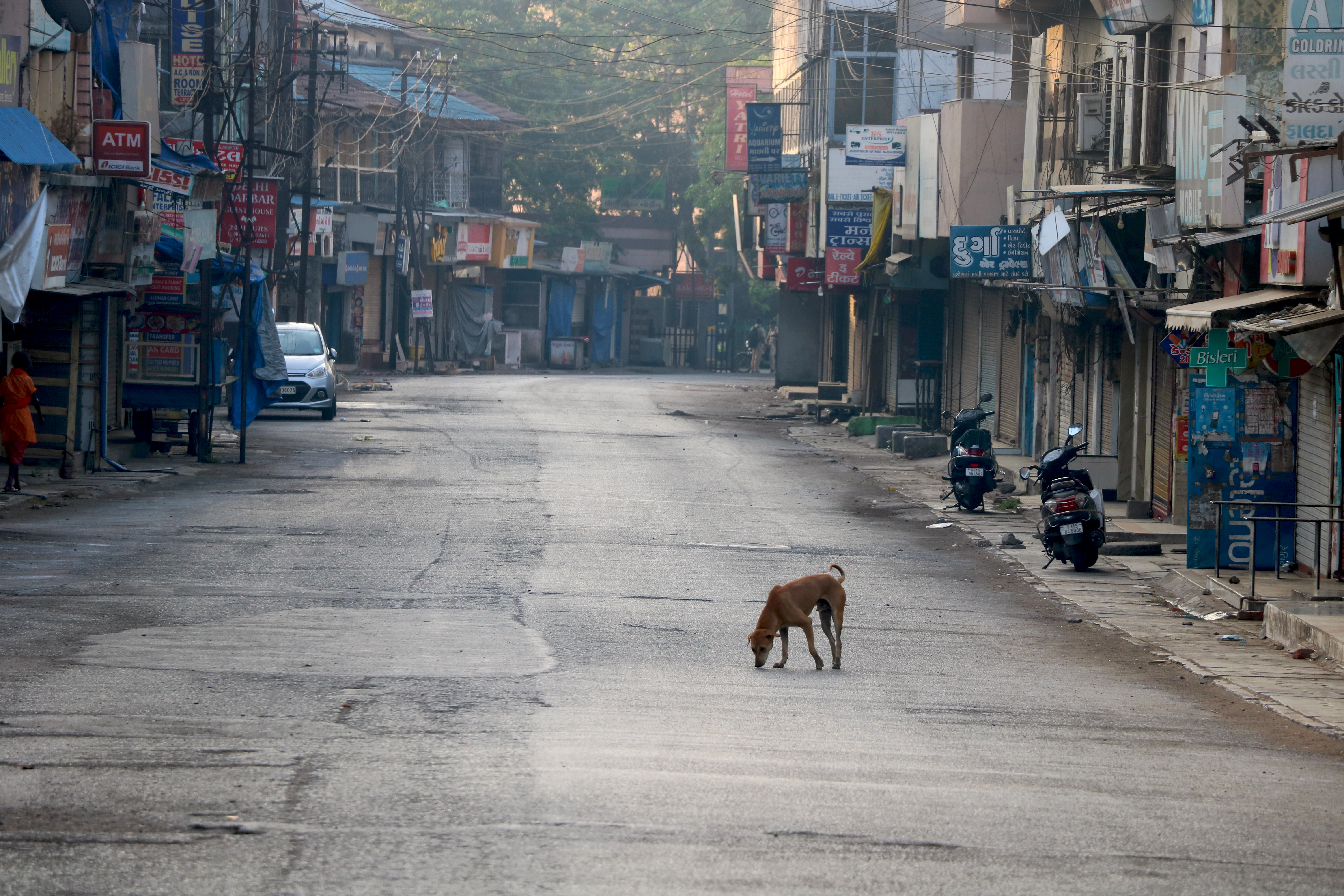 un chien circule dans une rue vide de Valsad, en Inde, pays en développement également frappé par les mesures de confinement.