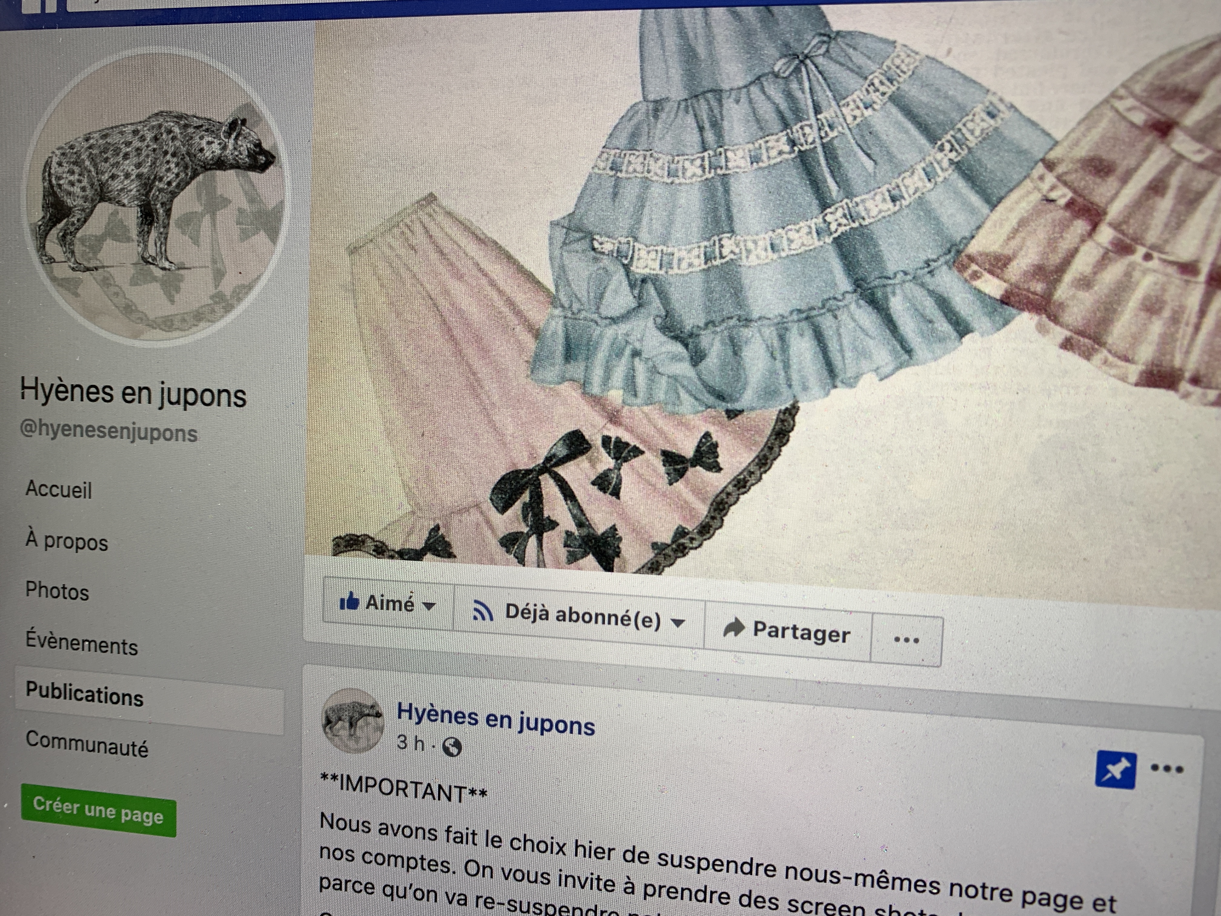 La page de dénonciations pour violences sexuelles «Les Hyènes en jupons»