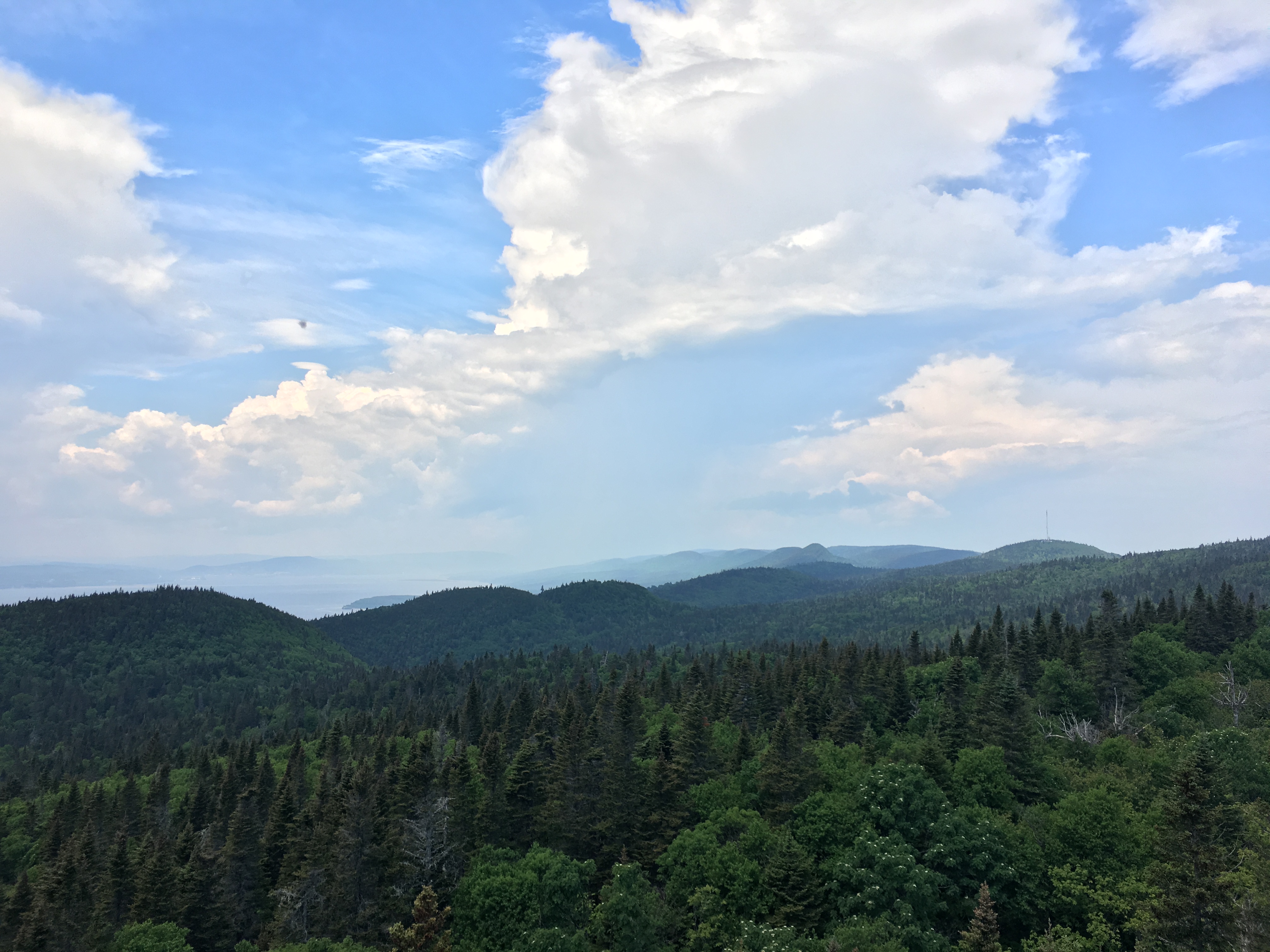 Gaspésie road trip