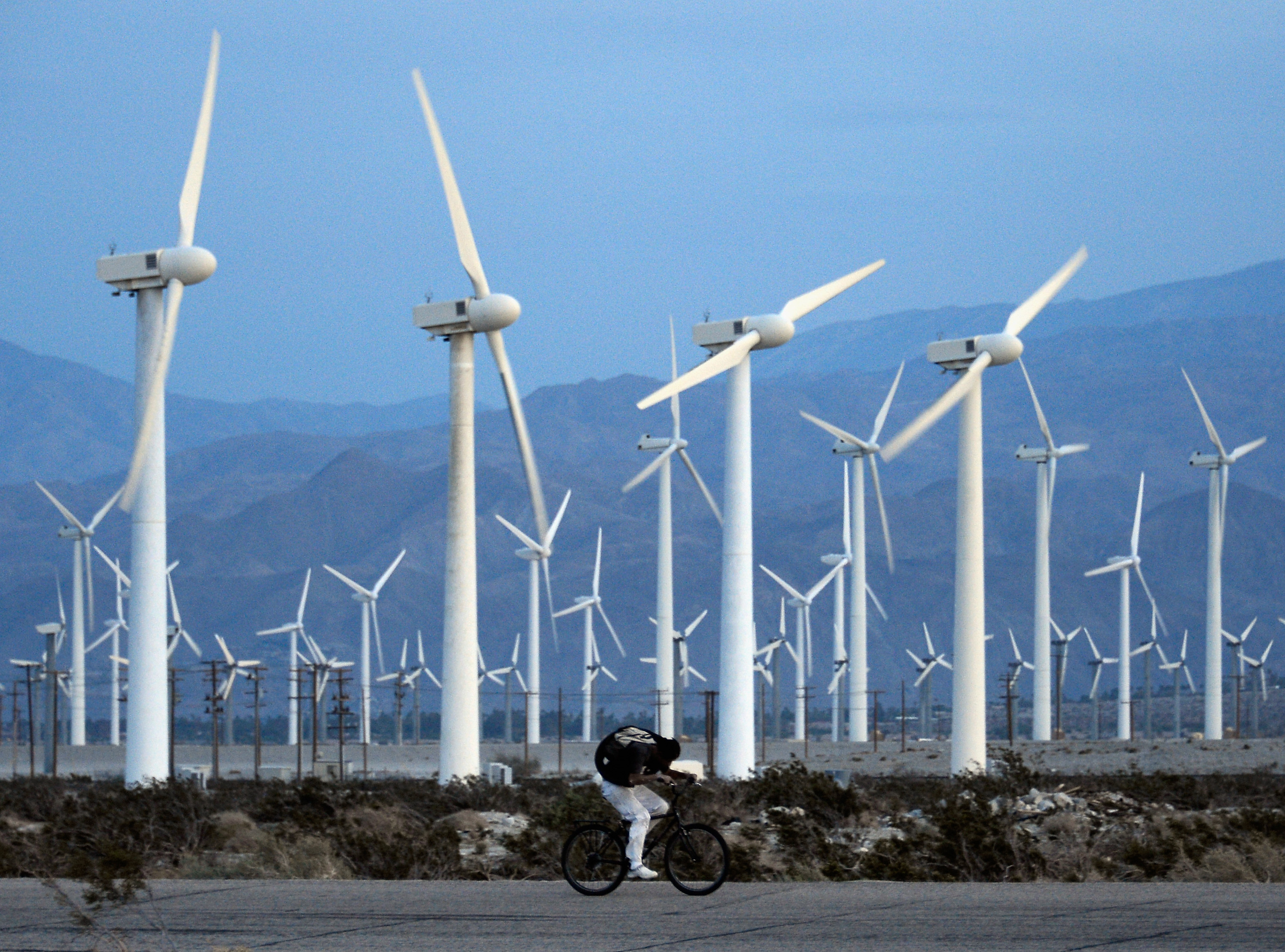 Un cycliste passe devant un champ d'éoliennes géantes en Californie, symbole de la croissance économique verte