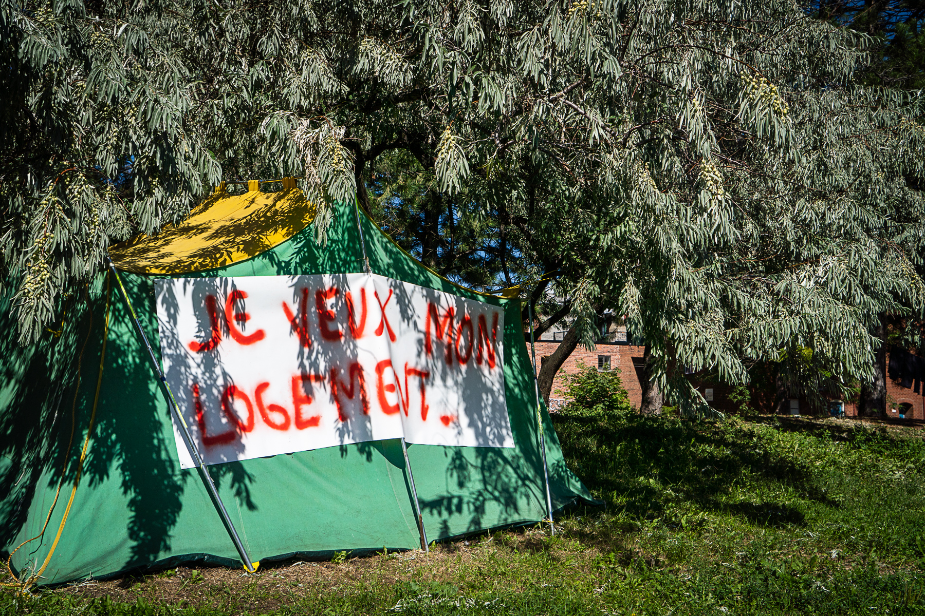 Le camp de fortune sur Notre-Dame