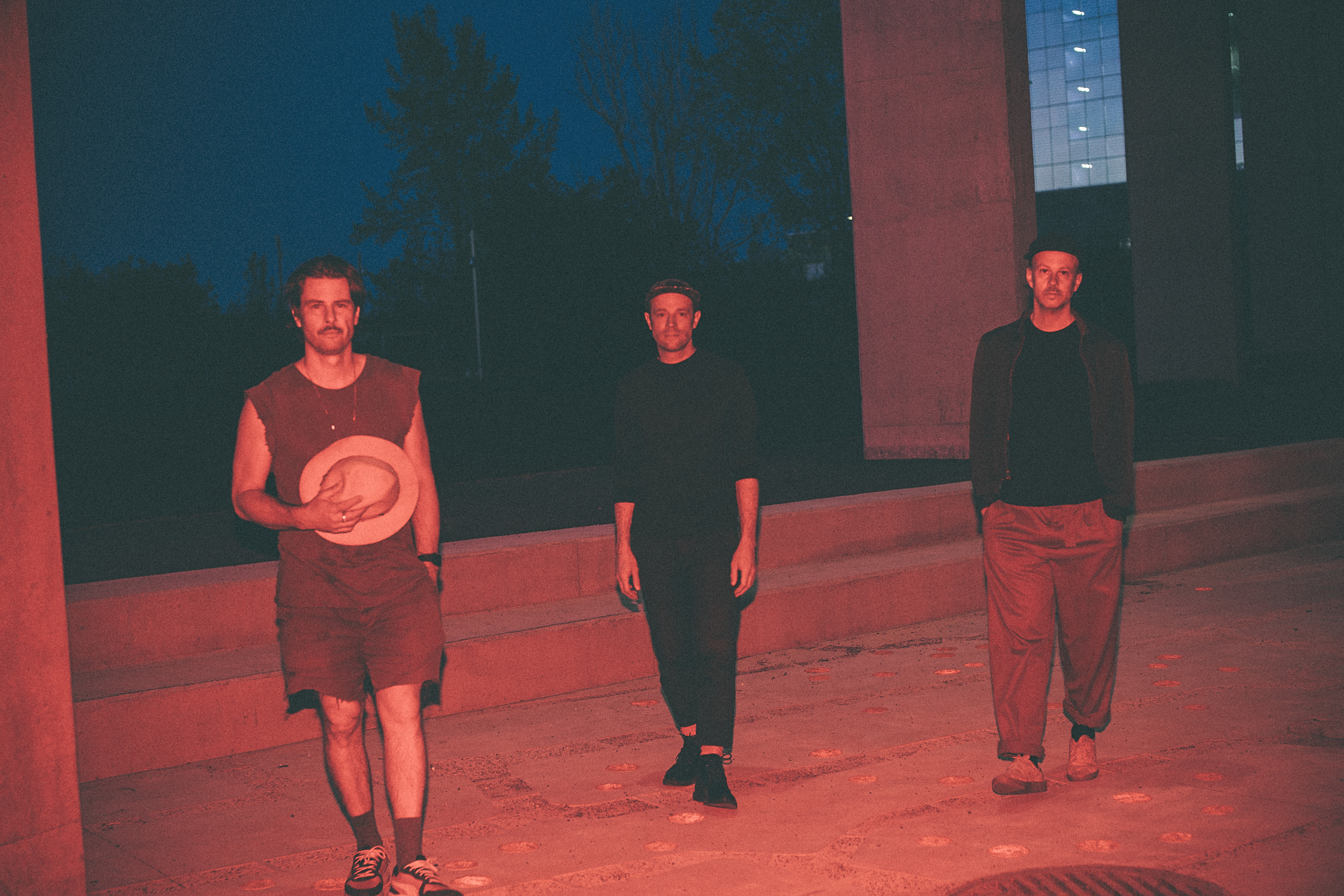 Plants and Animals The Jungle