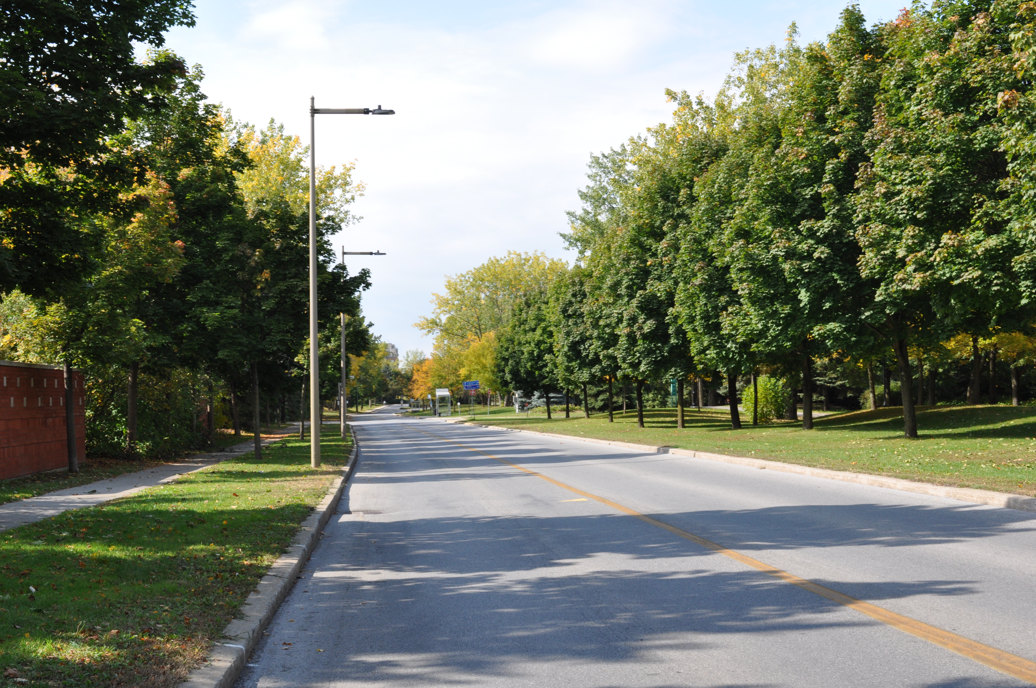 Des automobilistes font de la vitesse sur ce boulevard de L’Île-des-Sœurs.
