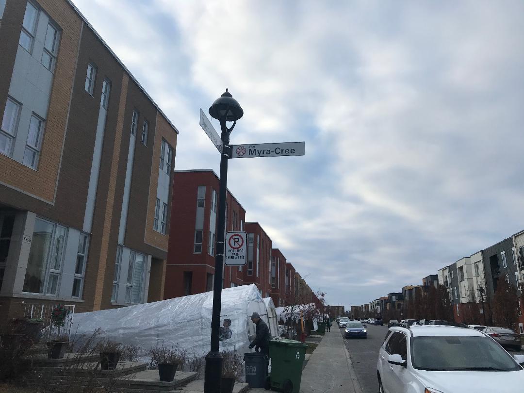 C'est sur cette rue que les présumés voleurs opéraient
