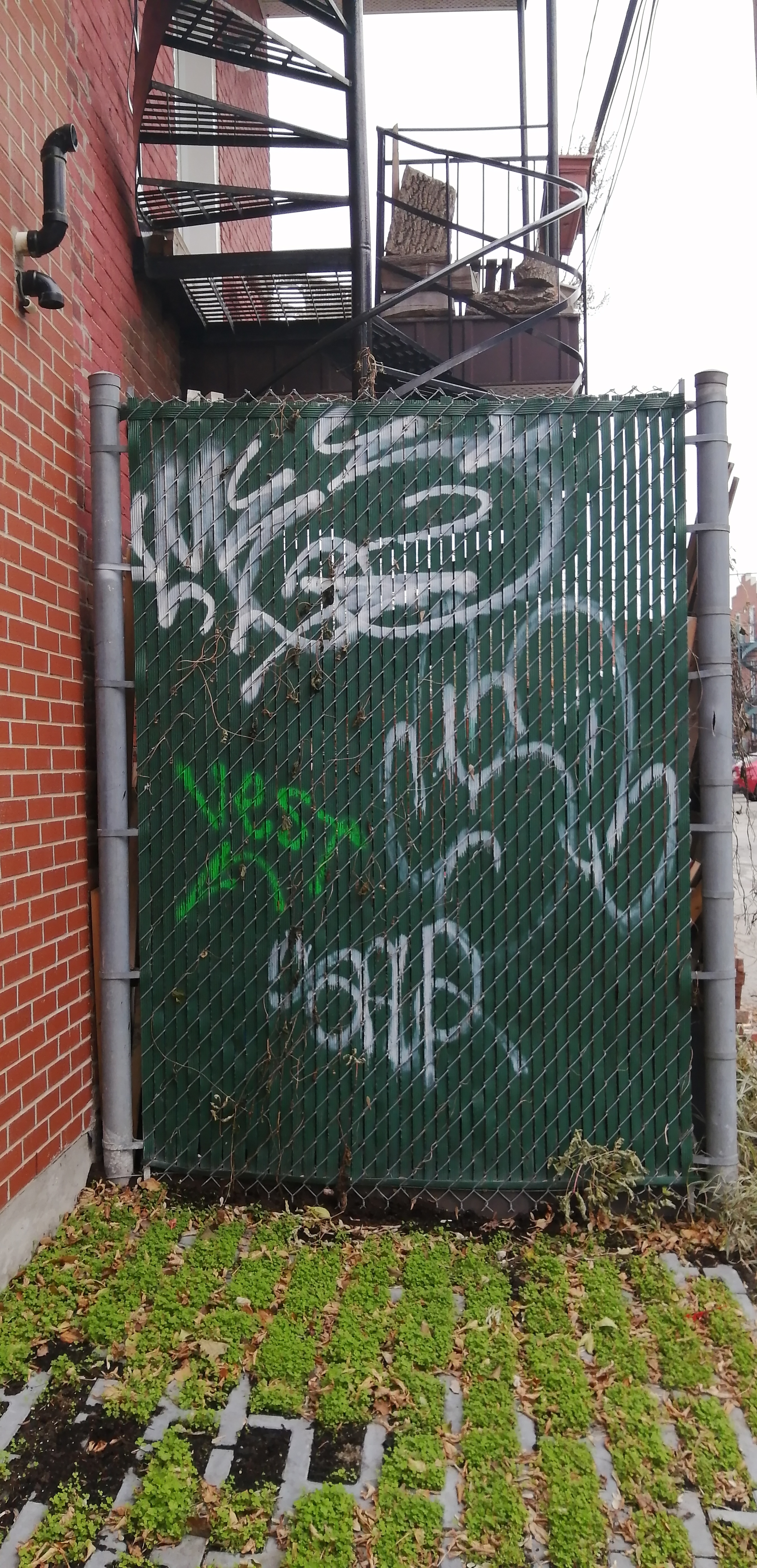 Graffitis sur le Plateau-Mont-Royal