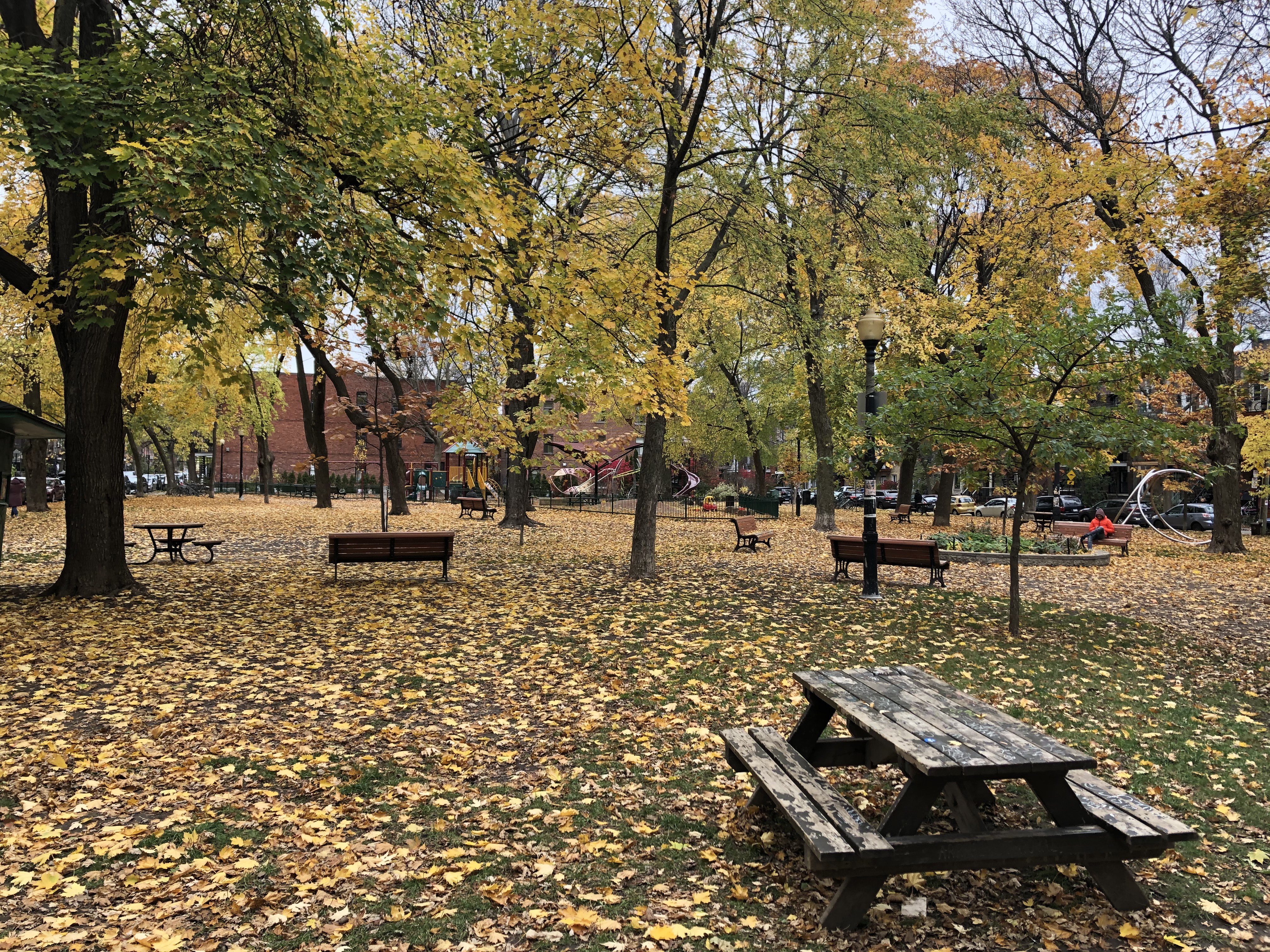 Parc Rosemont-La-Petite-Patrie