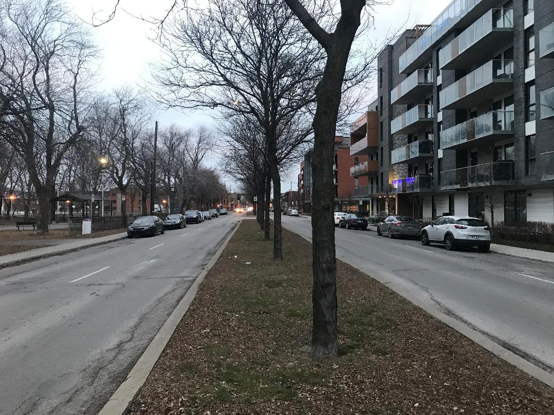 le projet d'installations lumineuses sur la rue Hochelaga vient d'être reporté.
