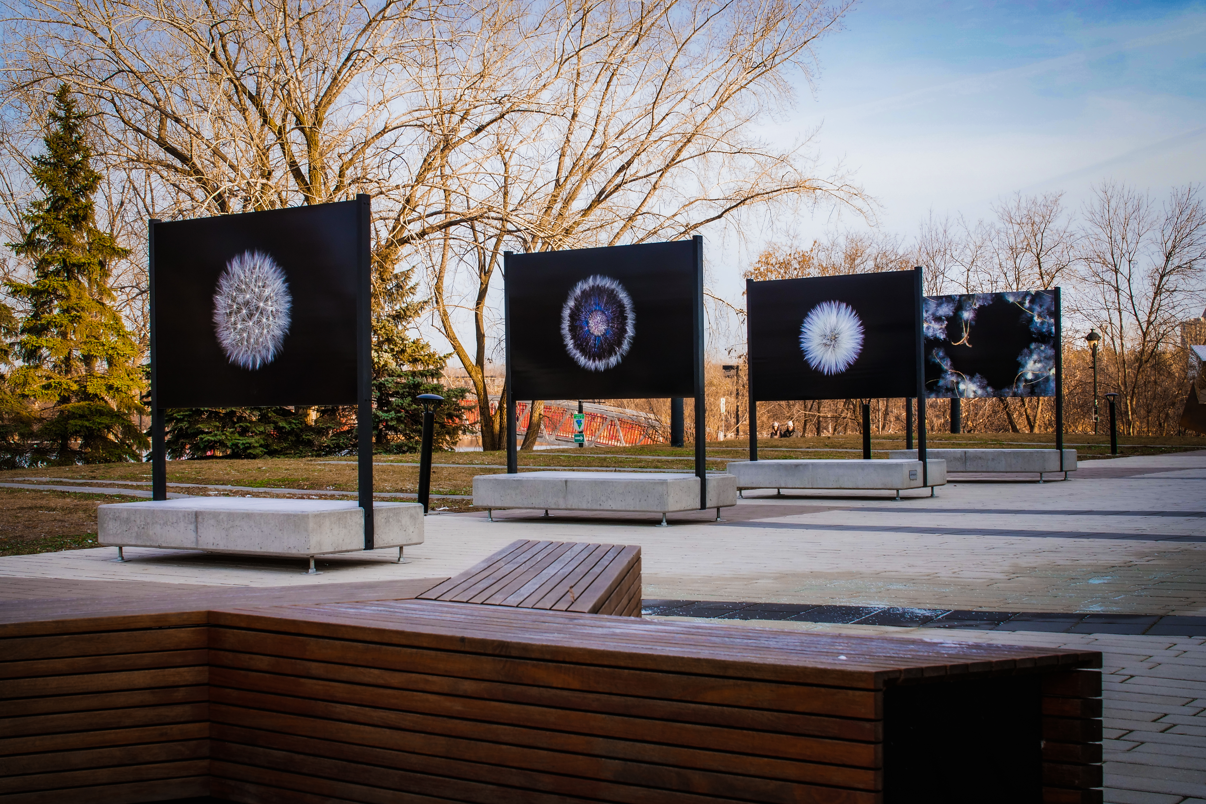 La Maison de la culture de Verdun s’adapte en offrant quatre expositions extérieures gratuites.
