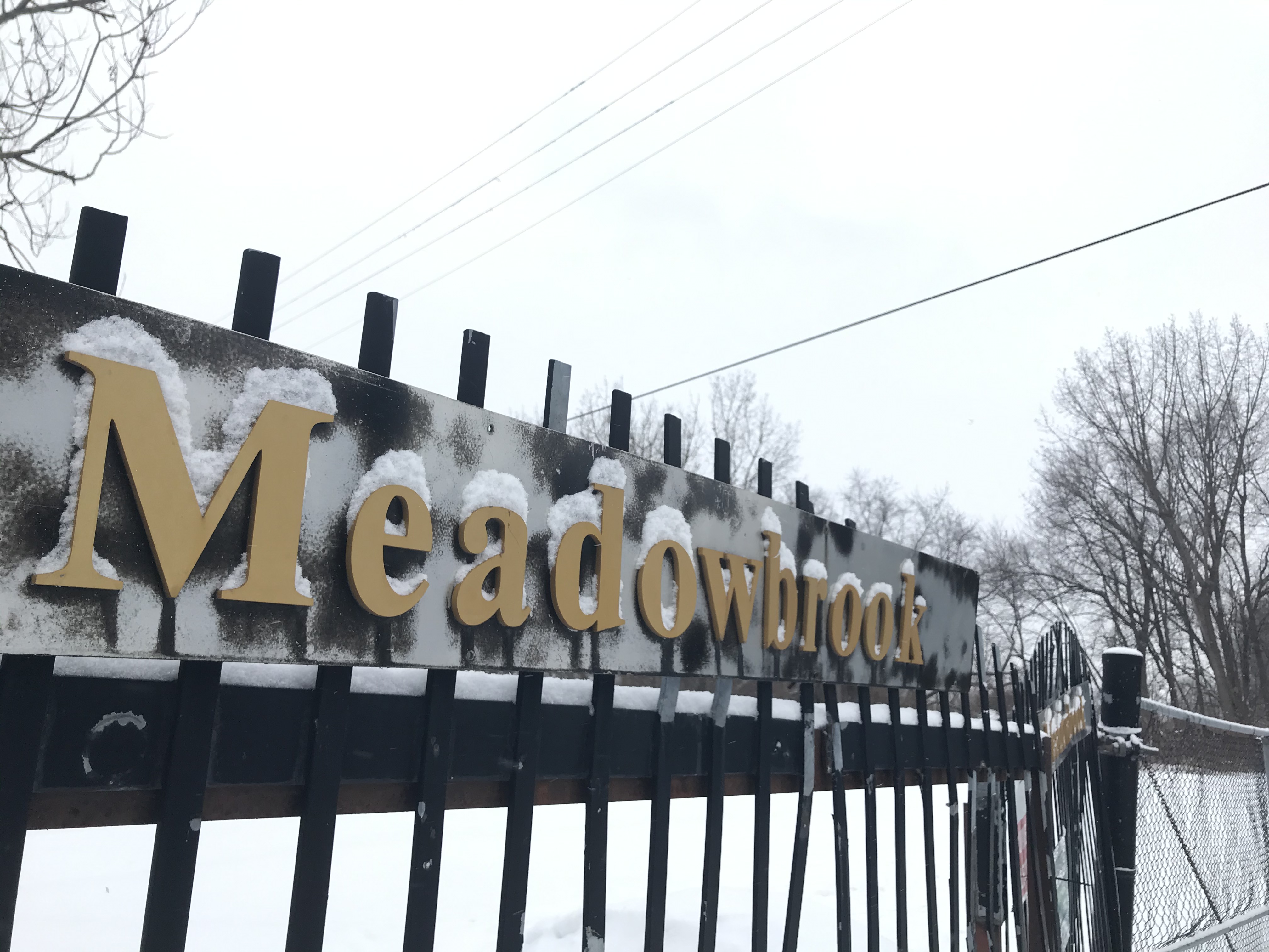 Ruisseau meadowbrook