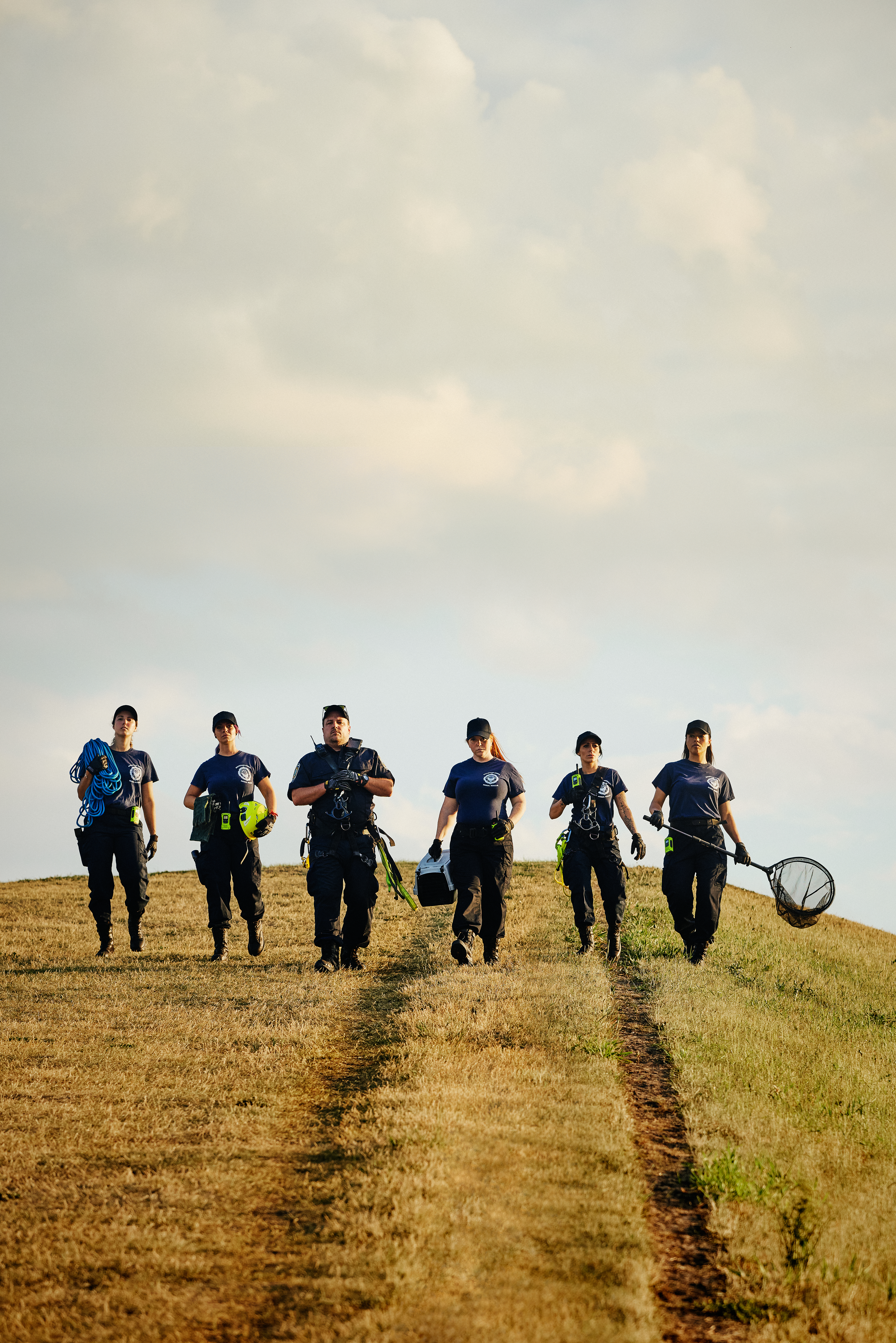 À la rescousse d'animaux en danger avec «Sauvetage Animal» sur TVA