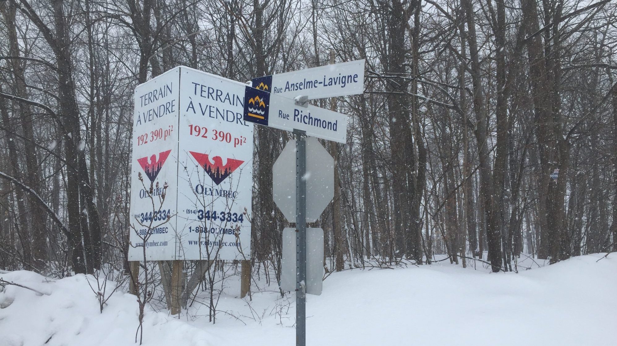 Le boisé Bourque épargné