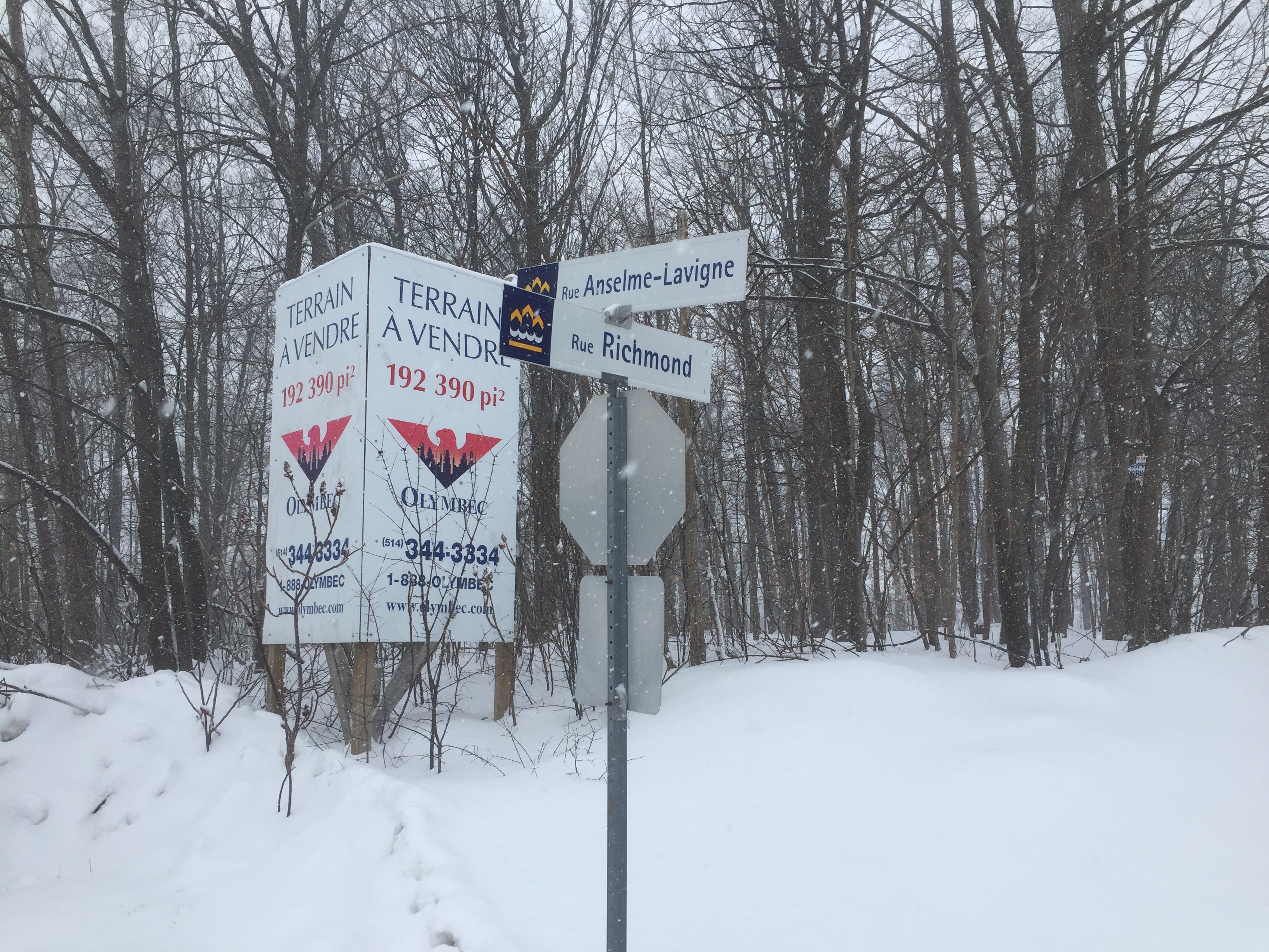 Le boisé Bourque épargné