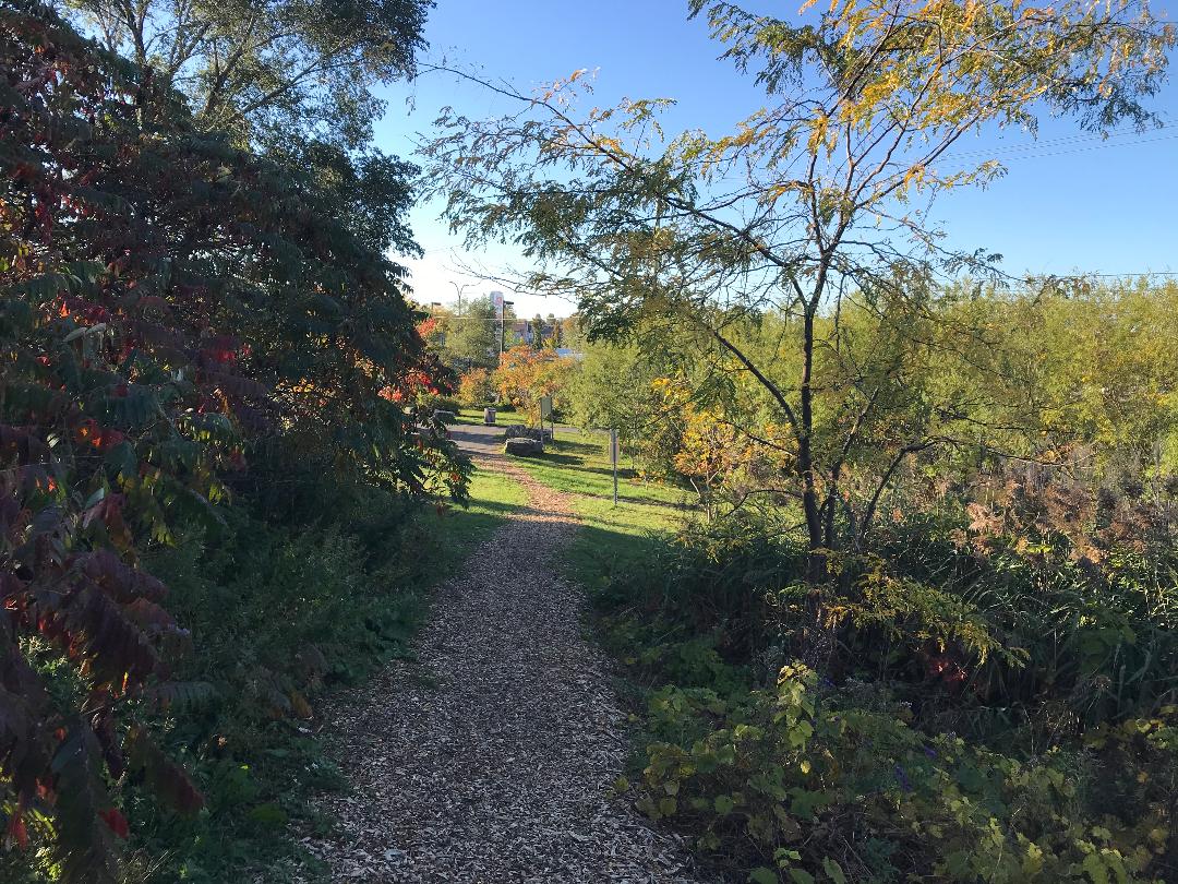 parc mhm espace vert montréal