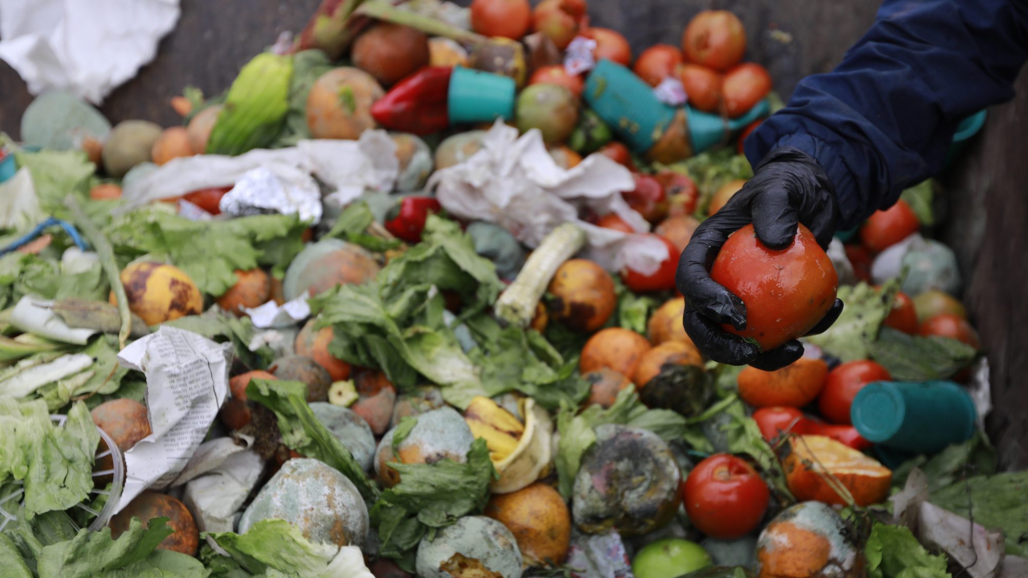 Halte au gaspillage alimentaire mondial