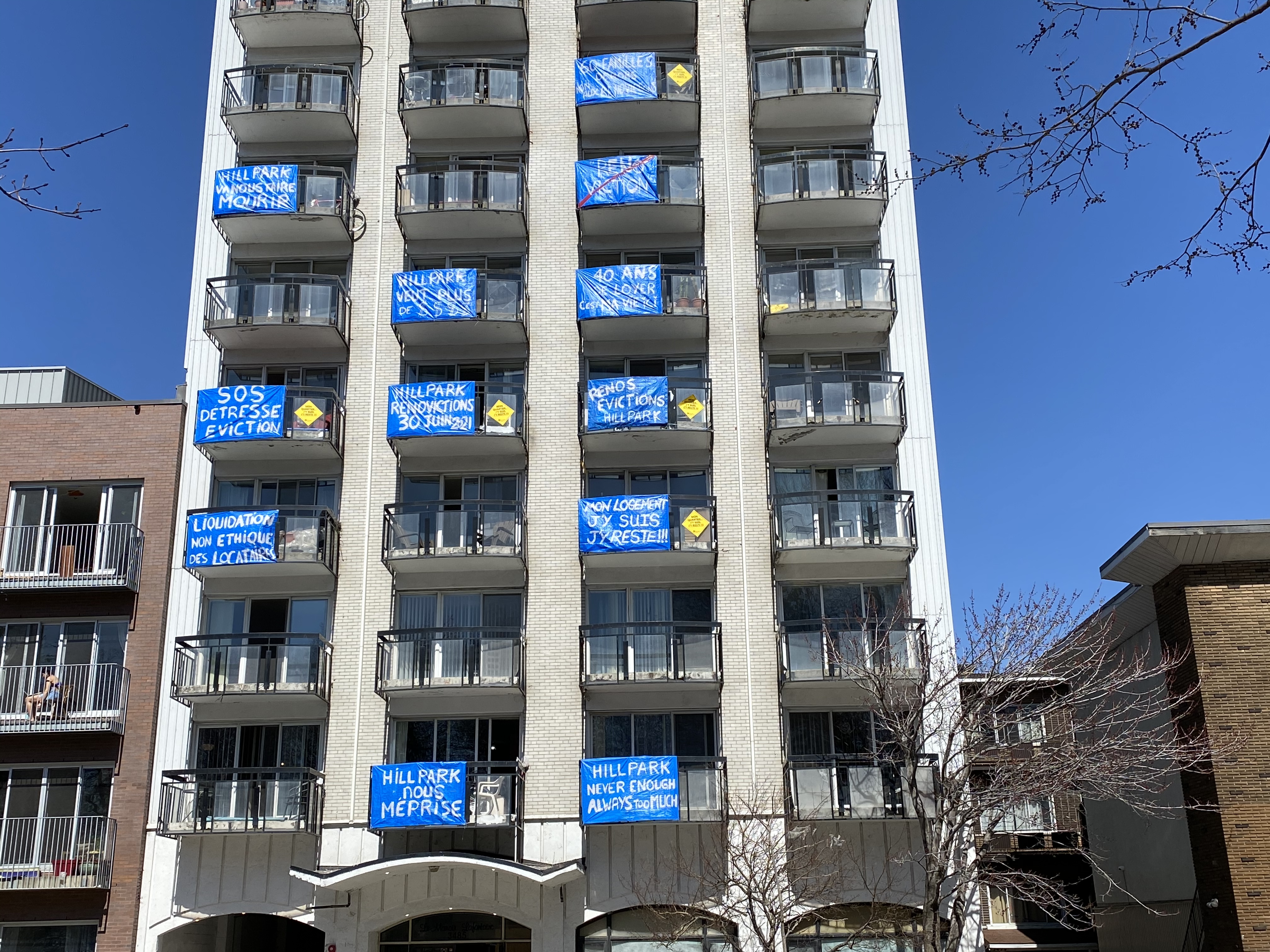 rénovictions crise du logement