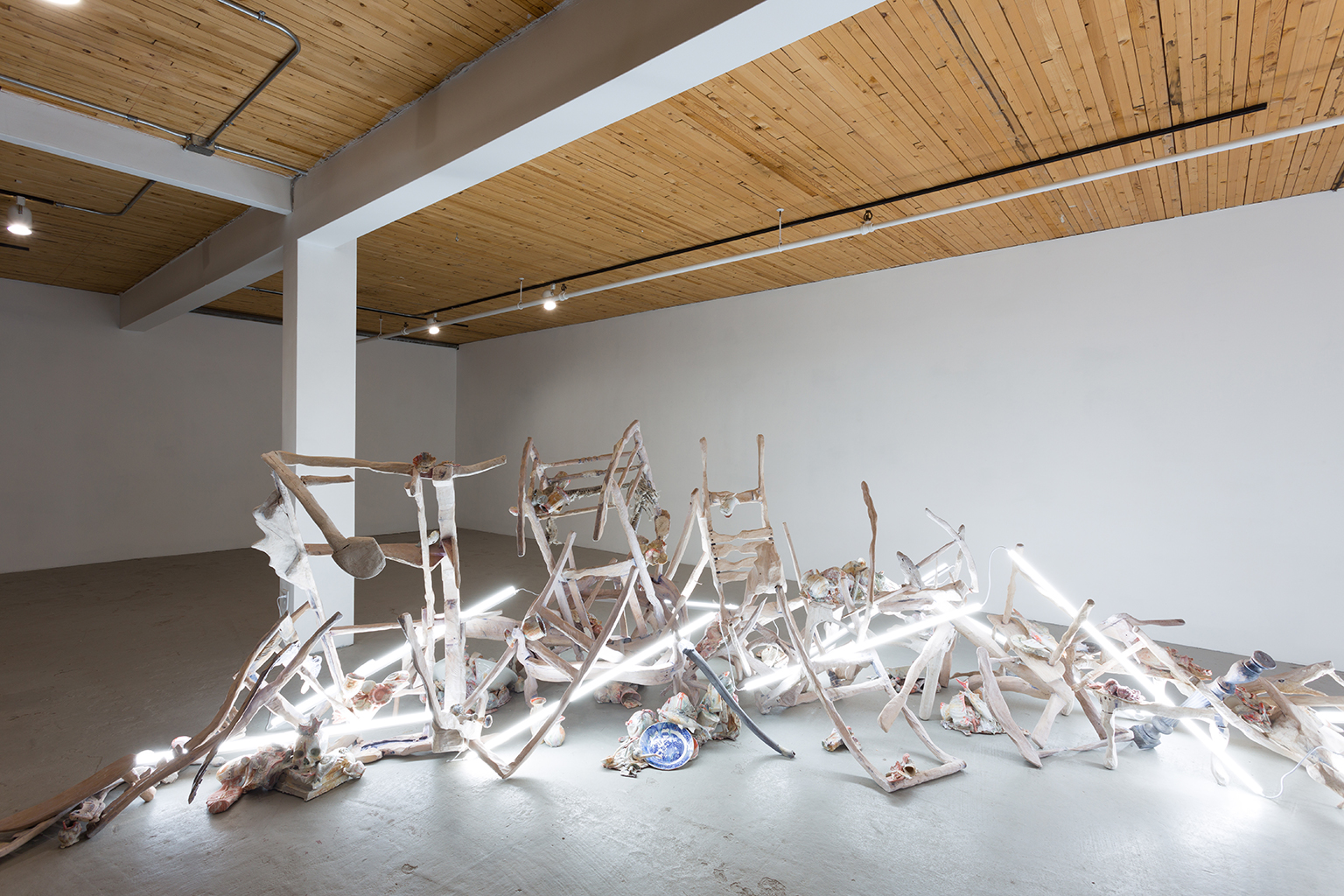 7e ciel: on craque pour «Terra Nova», «Trois mouvements», «Wintopia» et d’autres