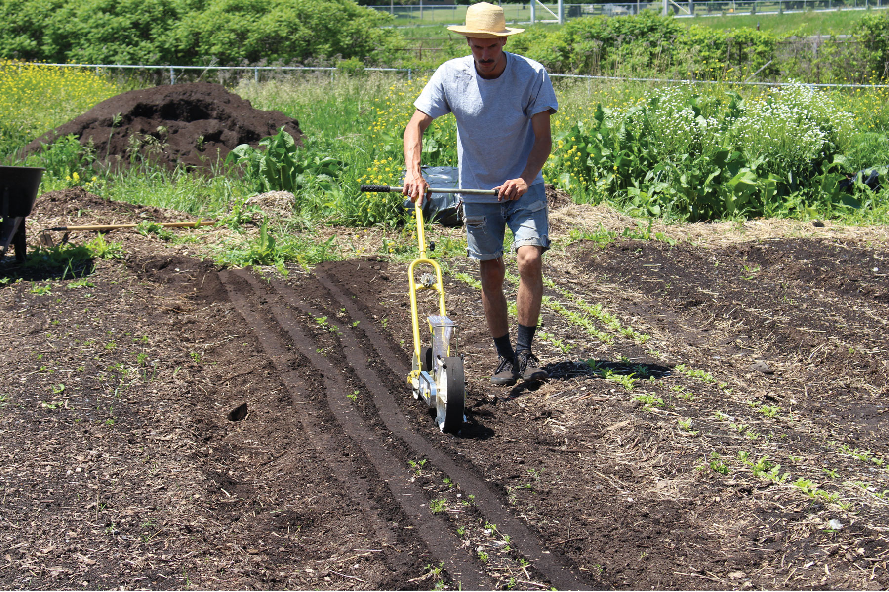 agriculture urbaine