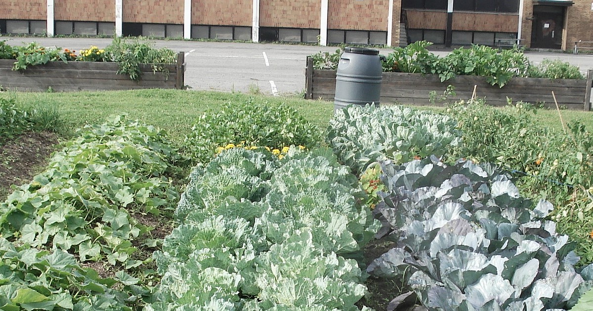 jardins communautaires