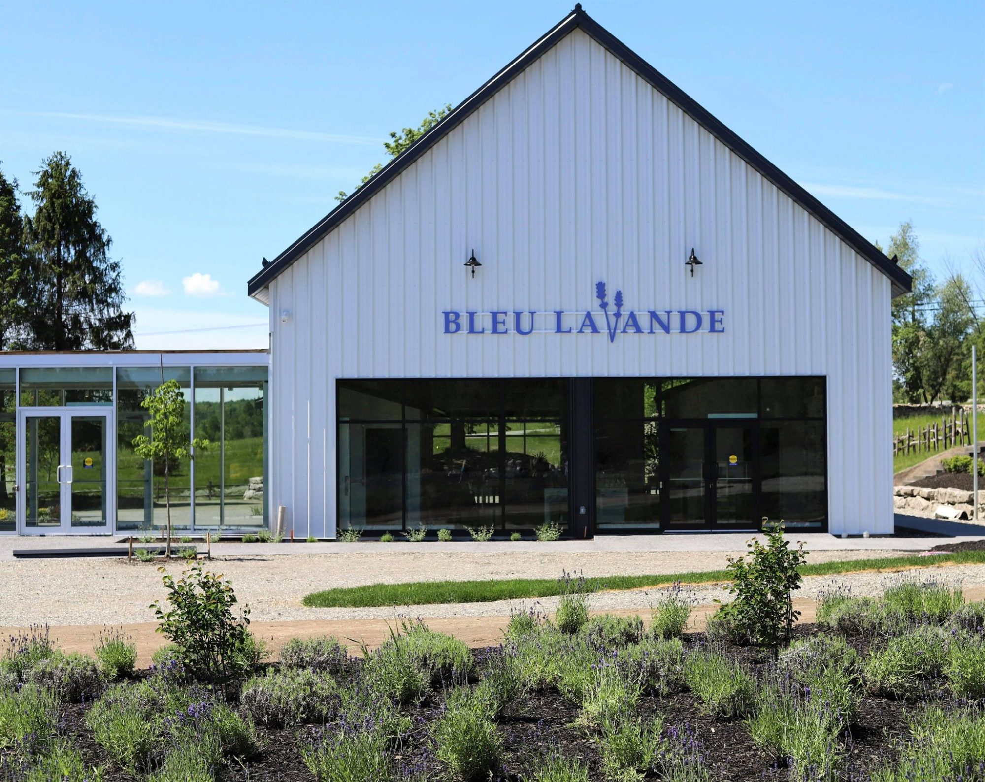 Nouvelle expérience immersive chez Bleu Lavande