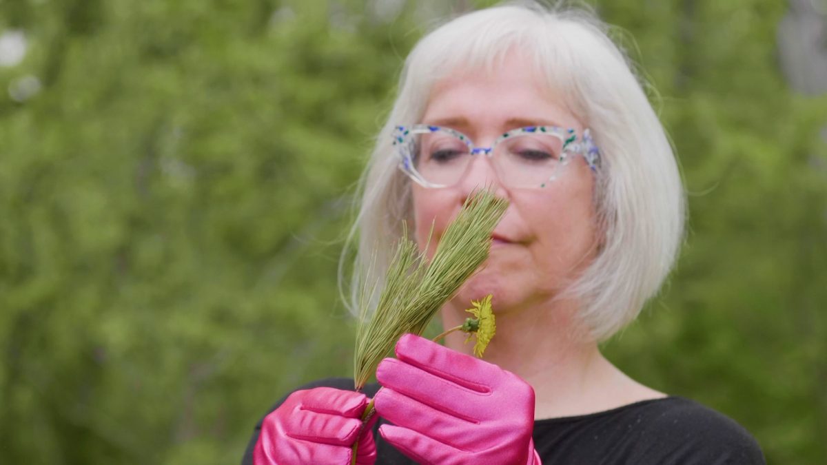 Carolline Auclair artiste