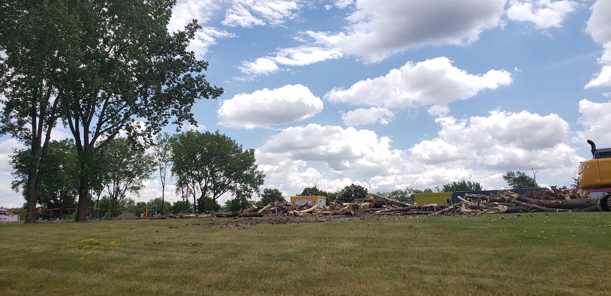 abattage arbres matures maison alternative RDP