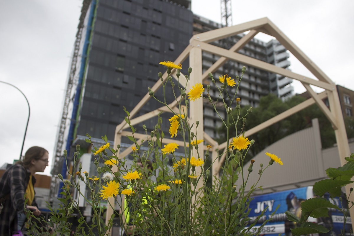 Shock Value Le Pavillon