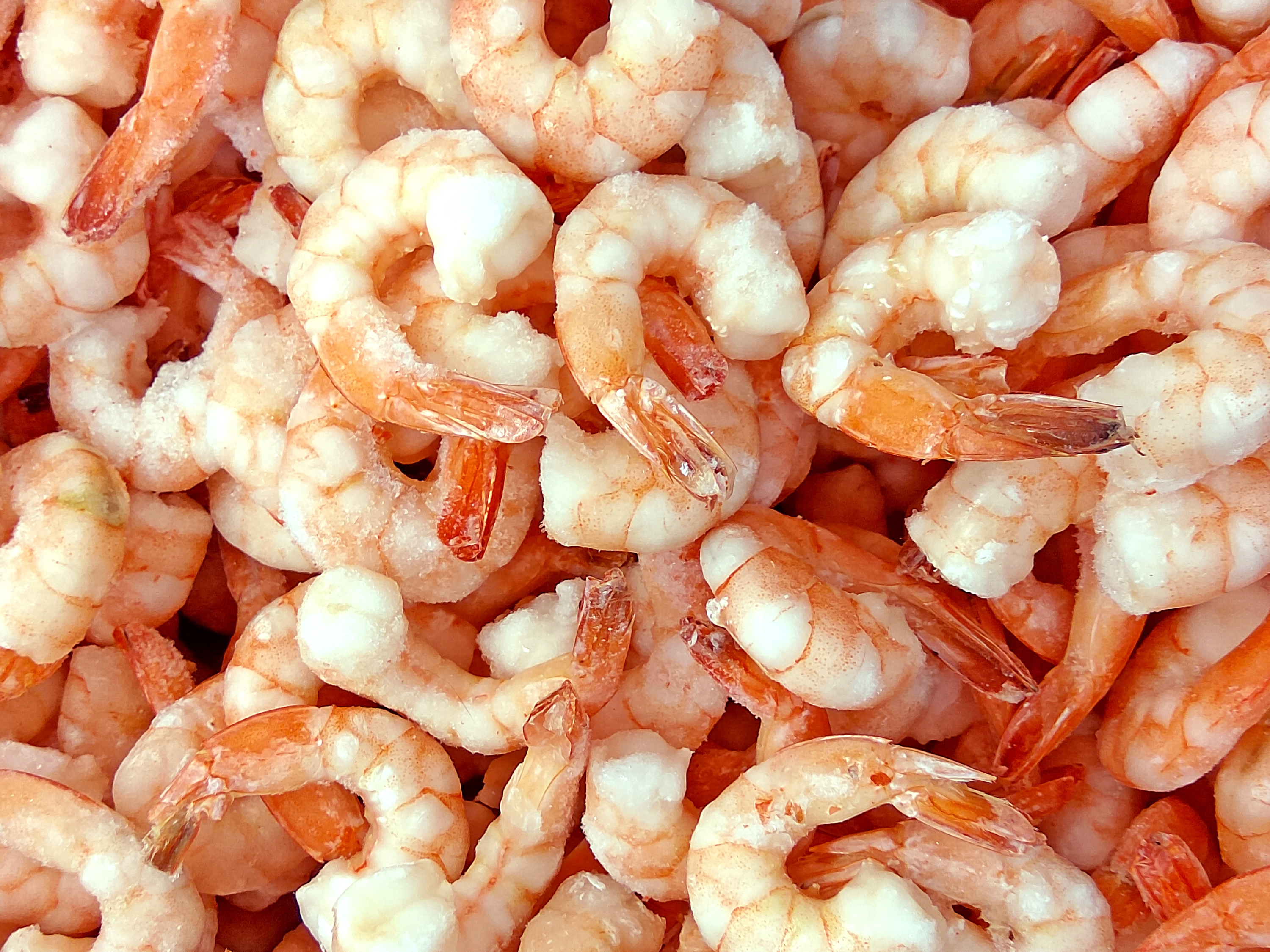 Crevettes