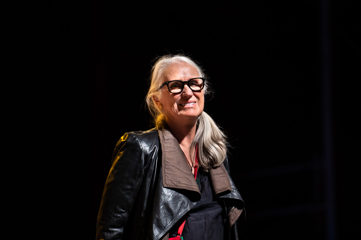 Jane Campion The Power of the Dog