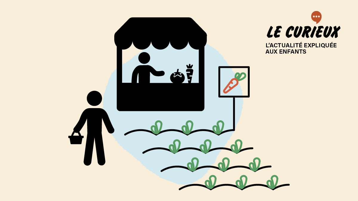 Le Curieux du 17 décembre sur l'achat local