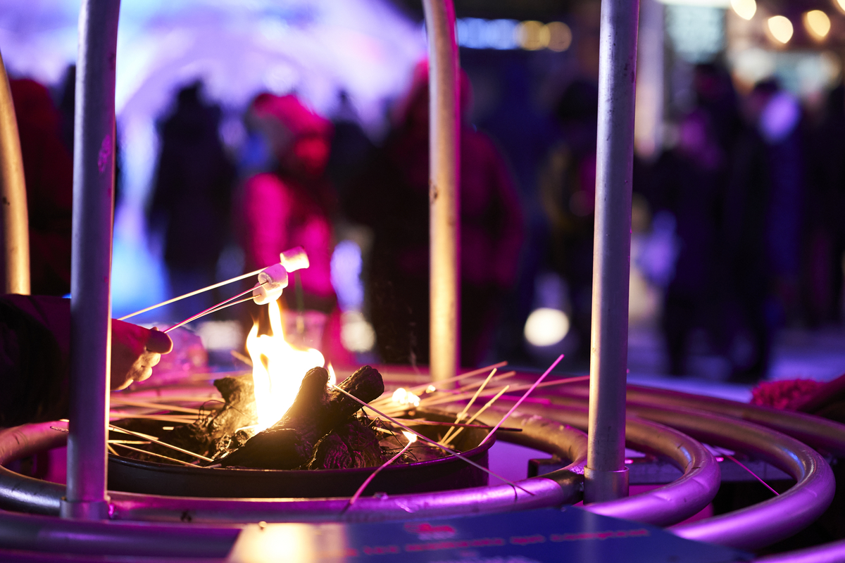 Montréal En Lumière.
