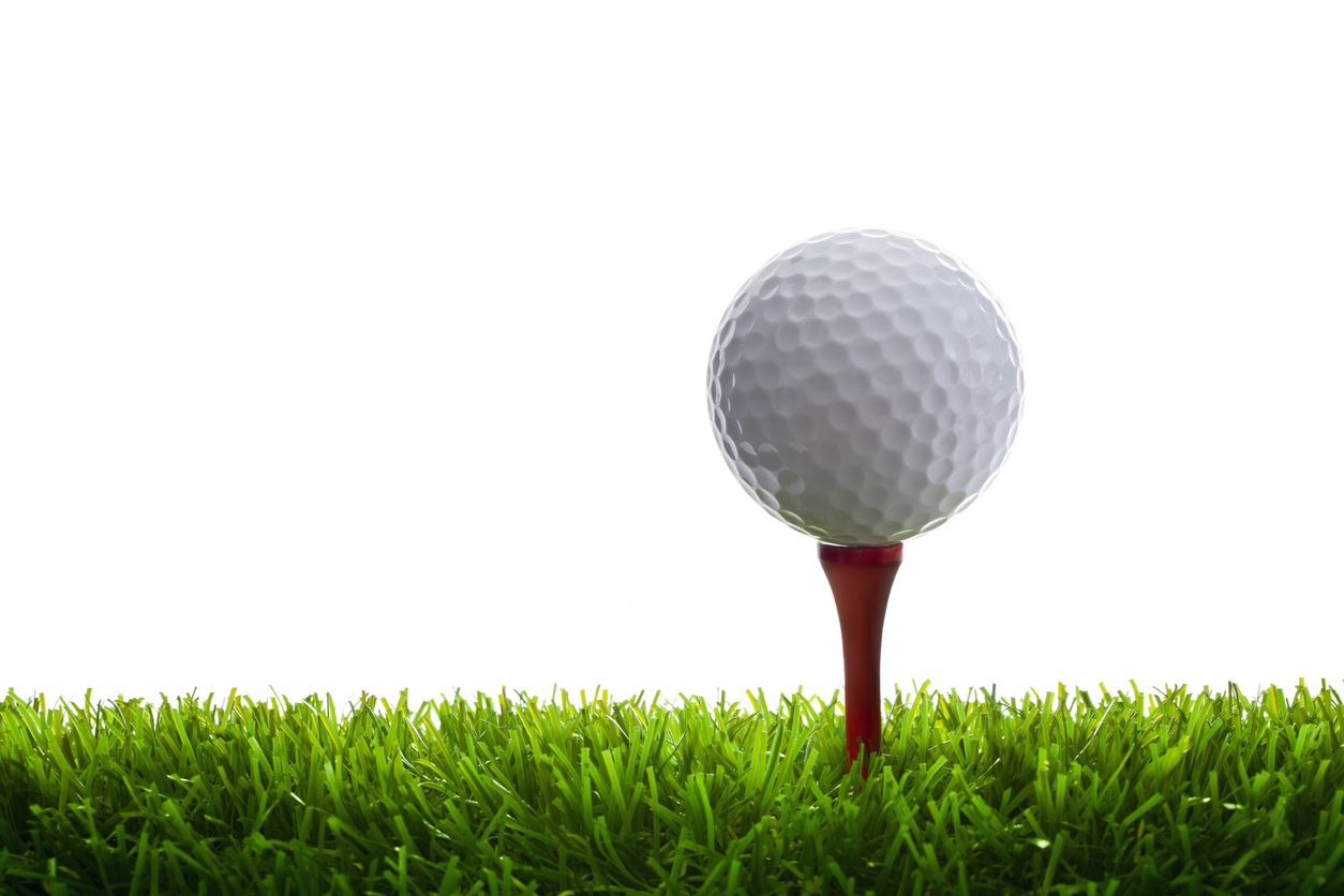 Le filet de protection avait atteint la fin de sa durée de vie il y a plusieurs années.